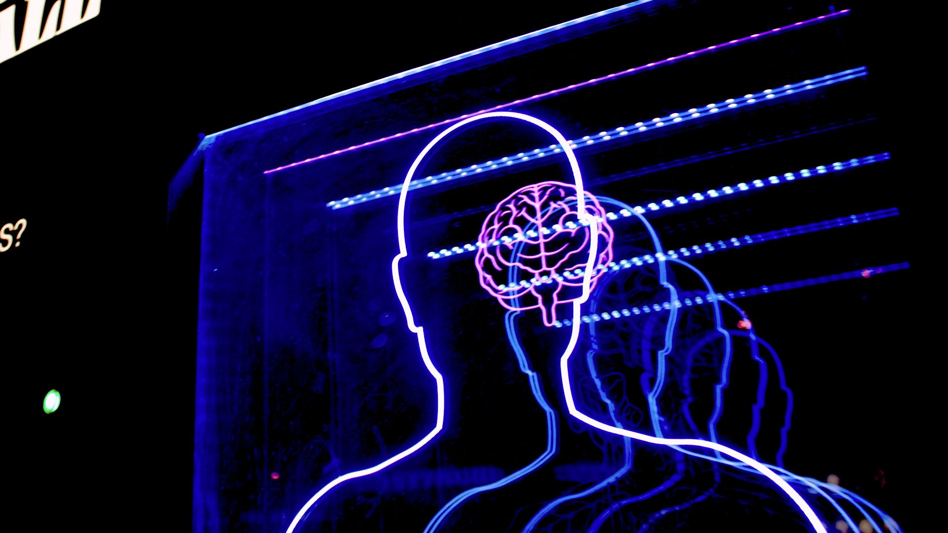 a neon display of a man's head and brain