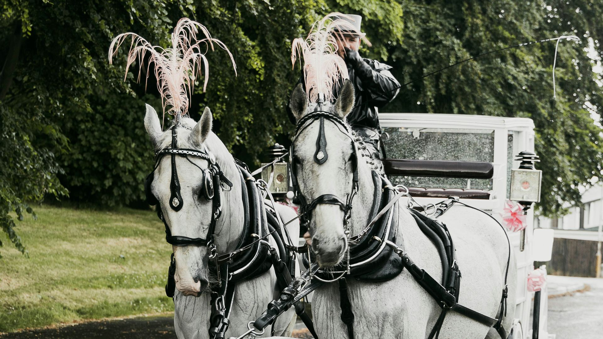 a couple of men riding a horse carriage