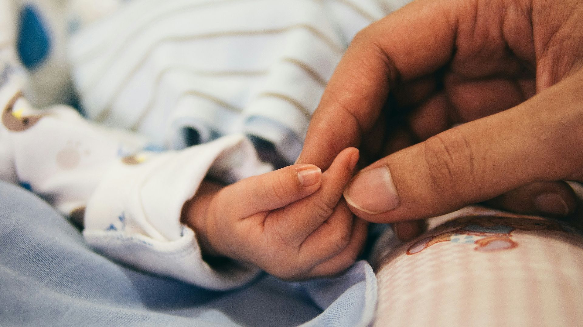 person holding baby's index finger