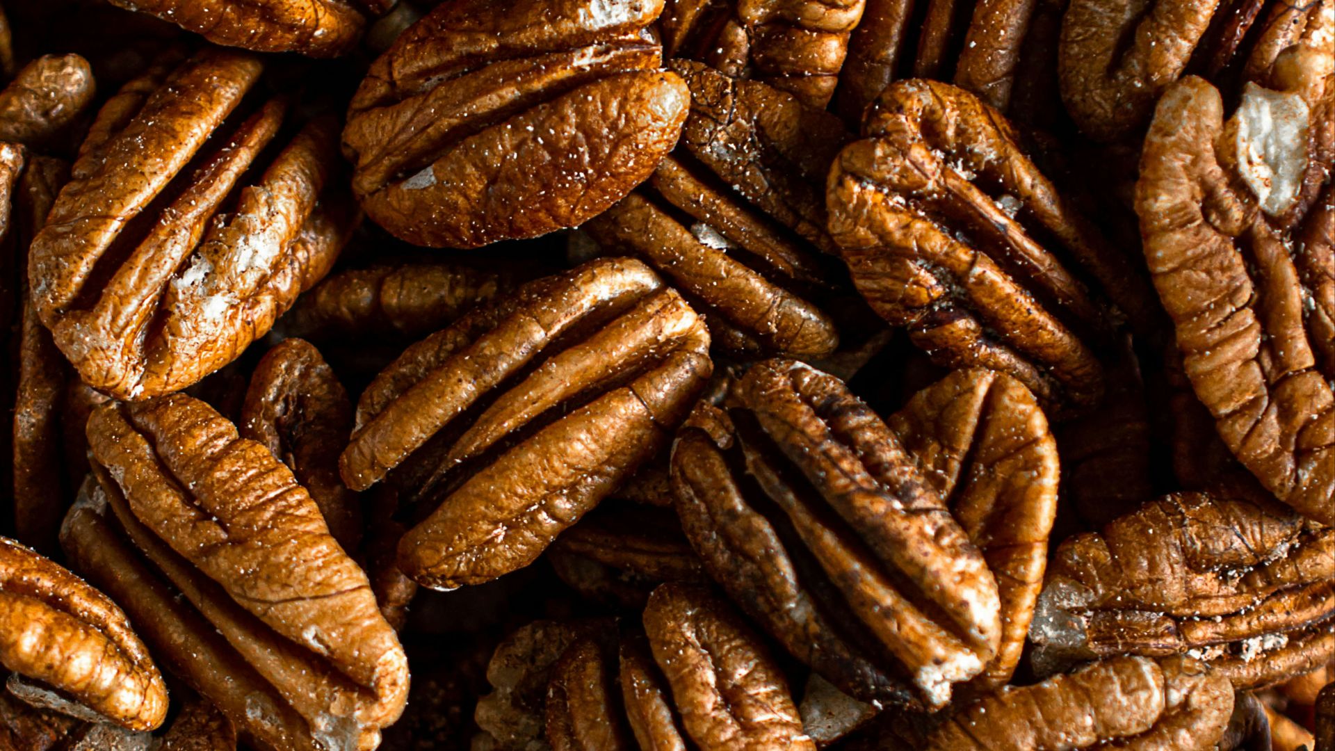 brown coffee beans in close up photography