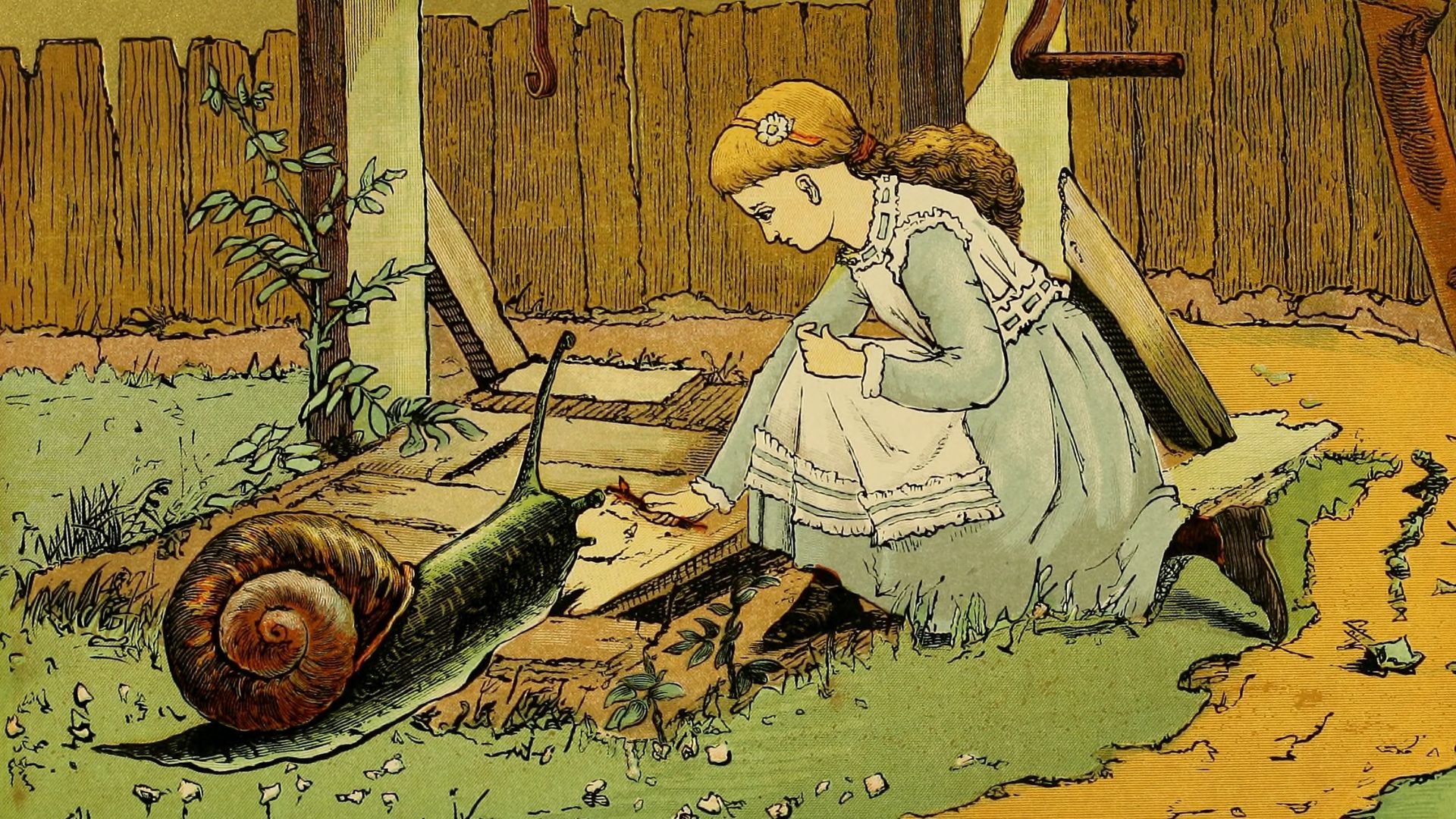 File:Comic Insects 0034 The Snail.jpg