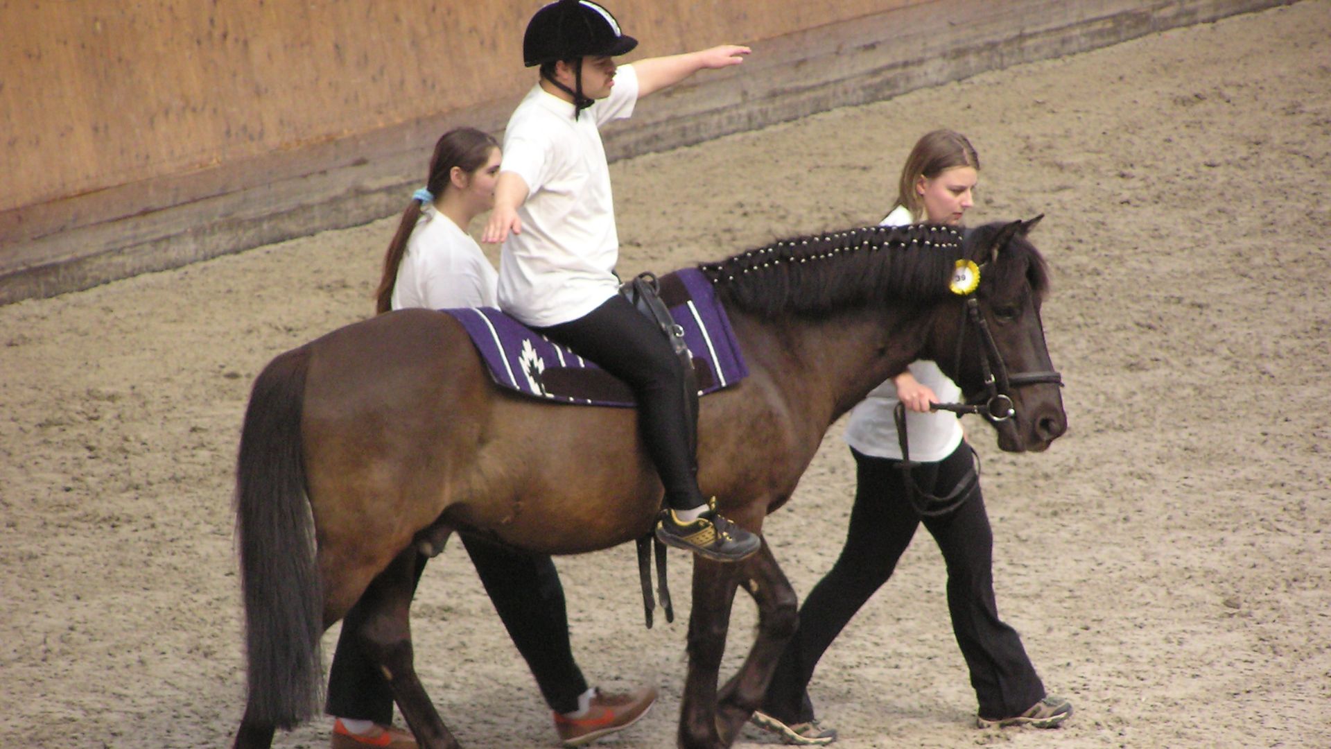 File:Therapeutic horseback riding 2.JPG