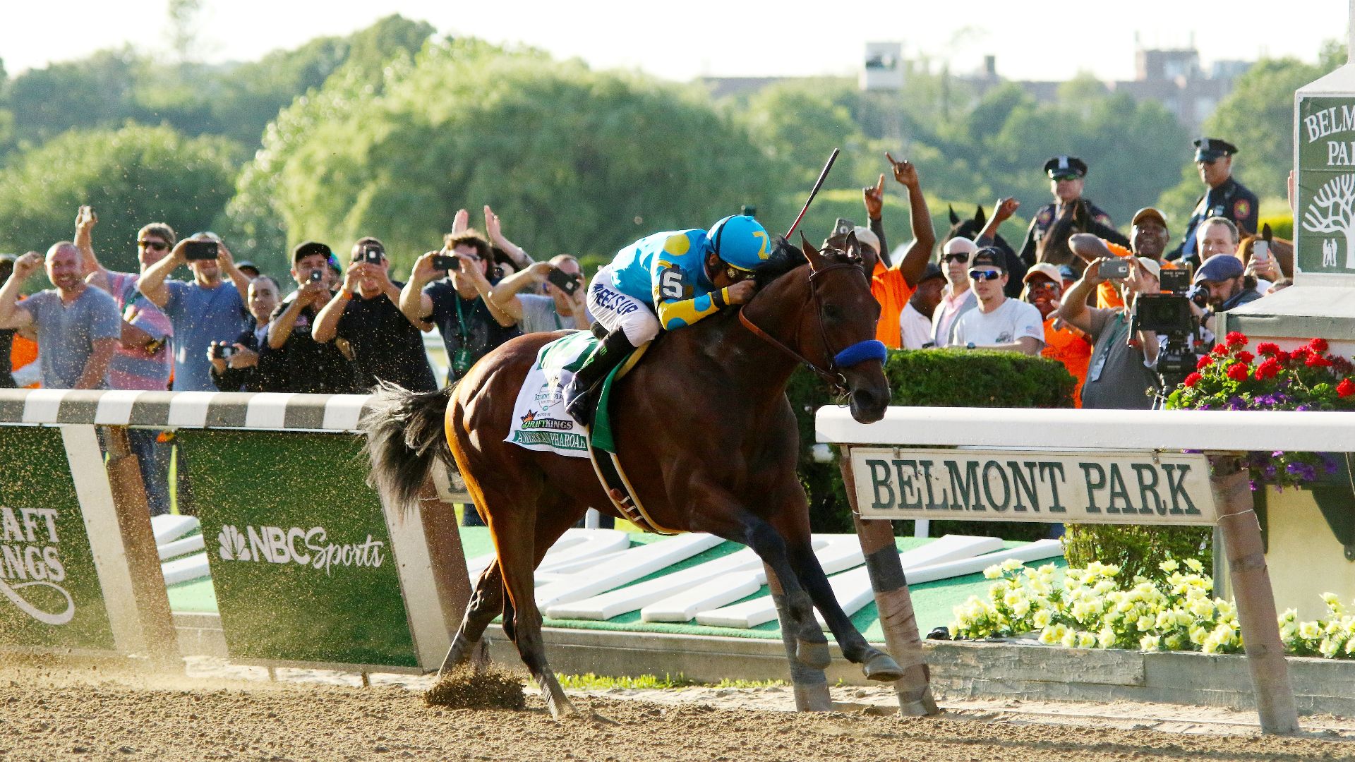 File:American Pharoah wins 2015 Belmont Stakes.jpg