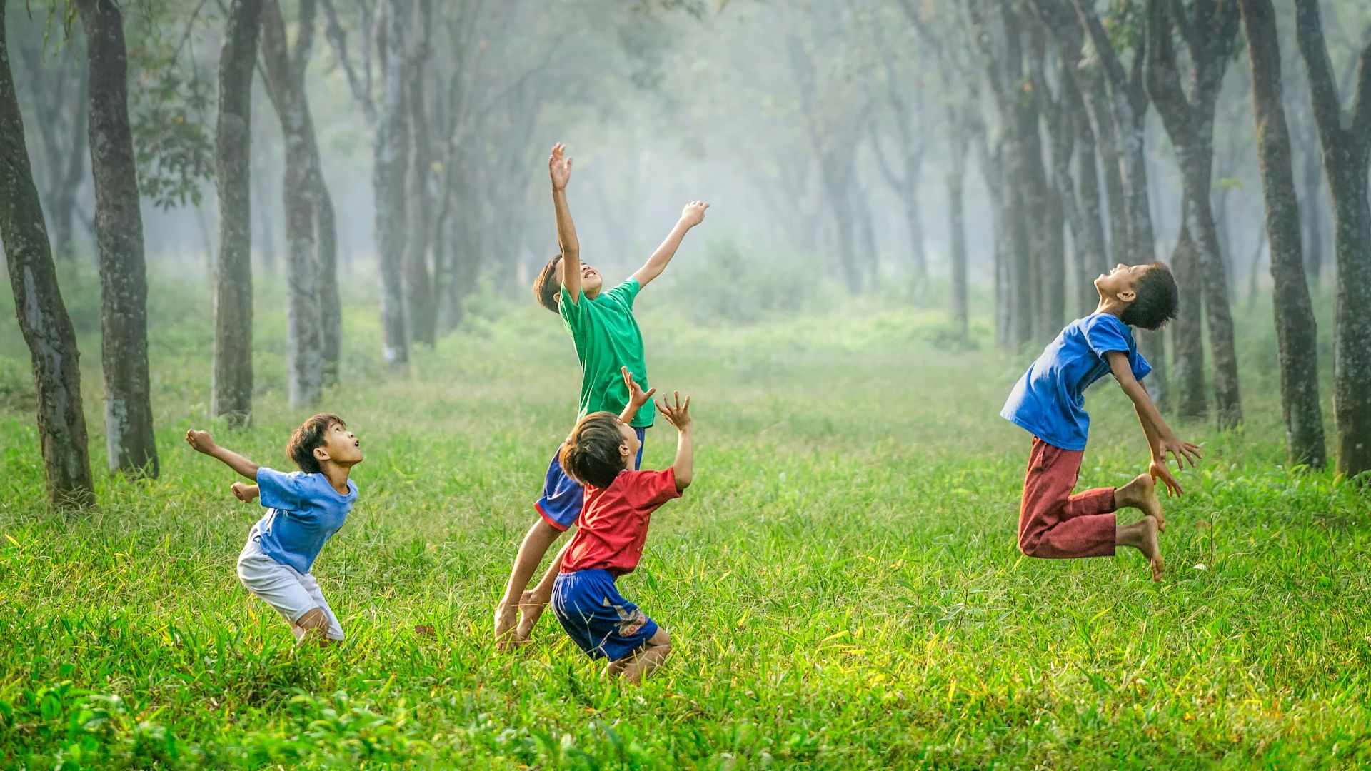 four boy playing ball on green grass
