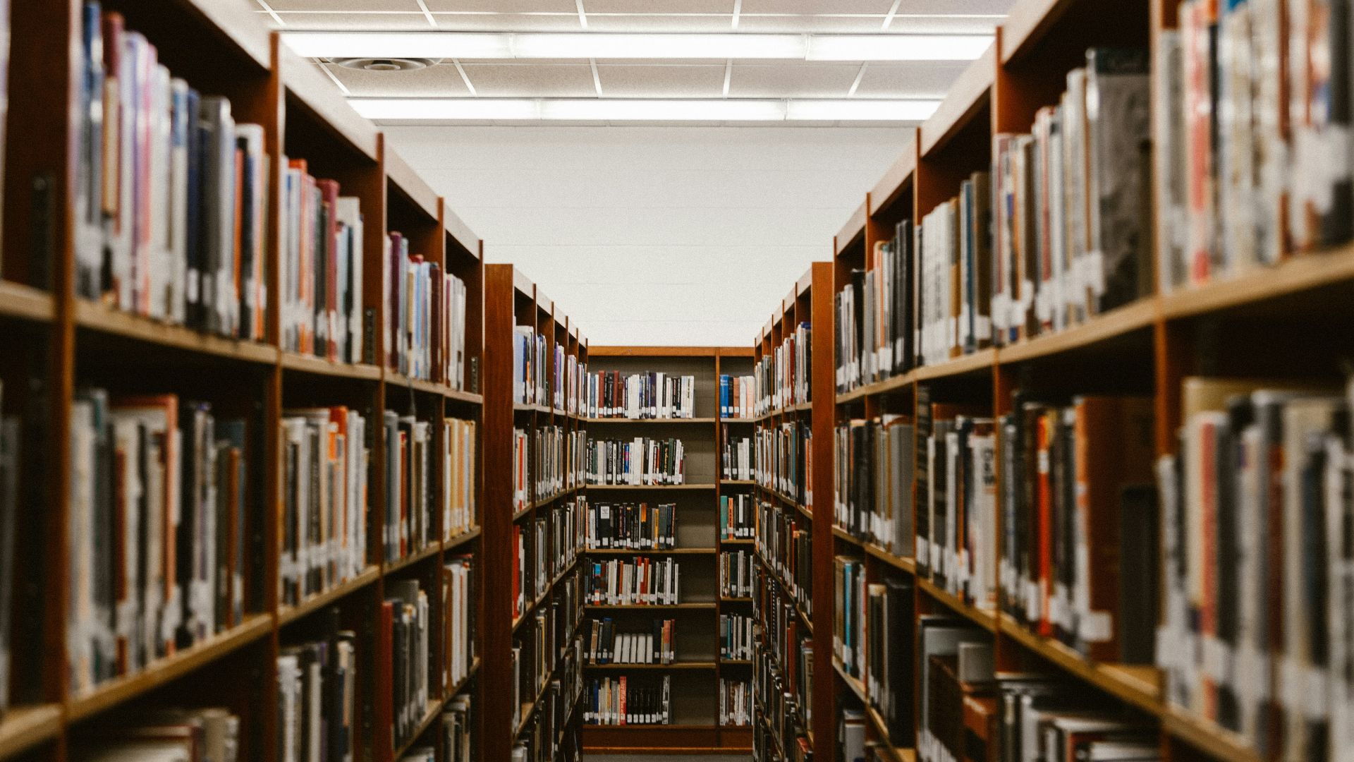 shallow focus photography of bookshelfs