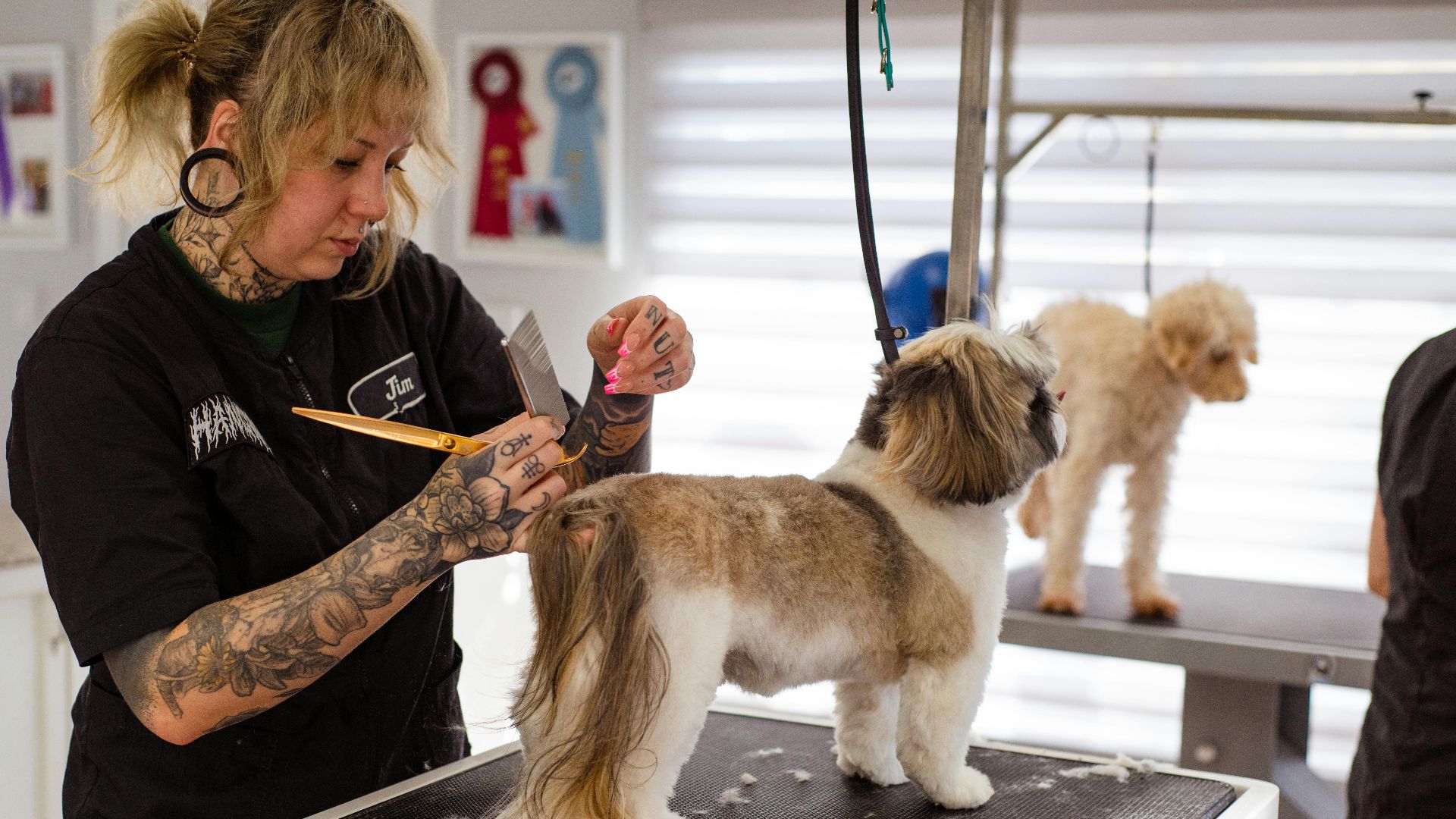 Goochie Poochie Grooming