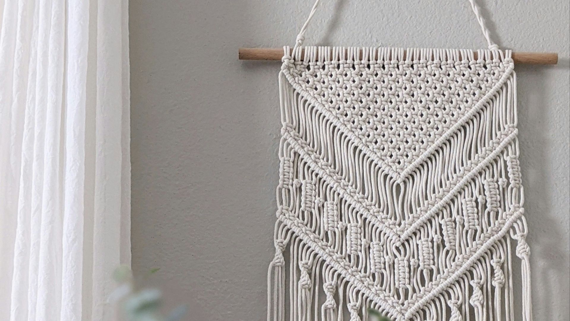 green cactus plant near white wall