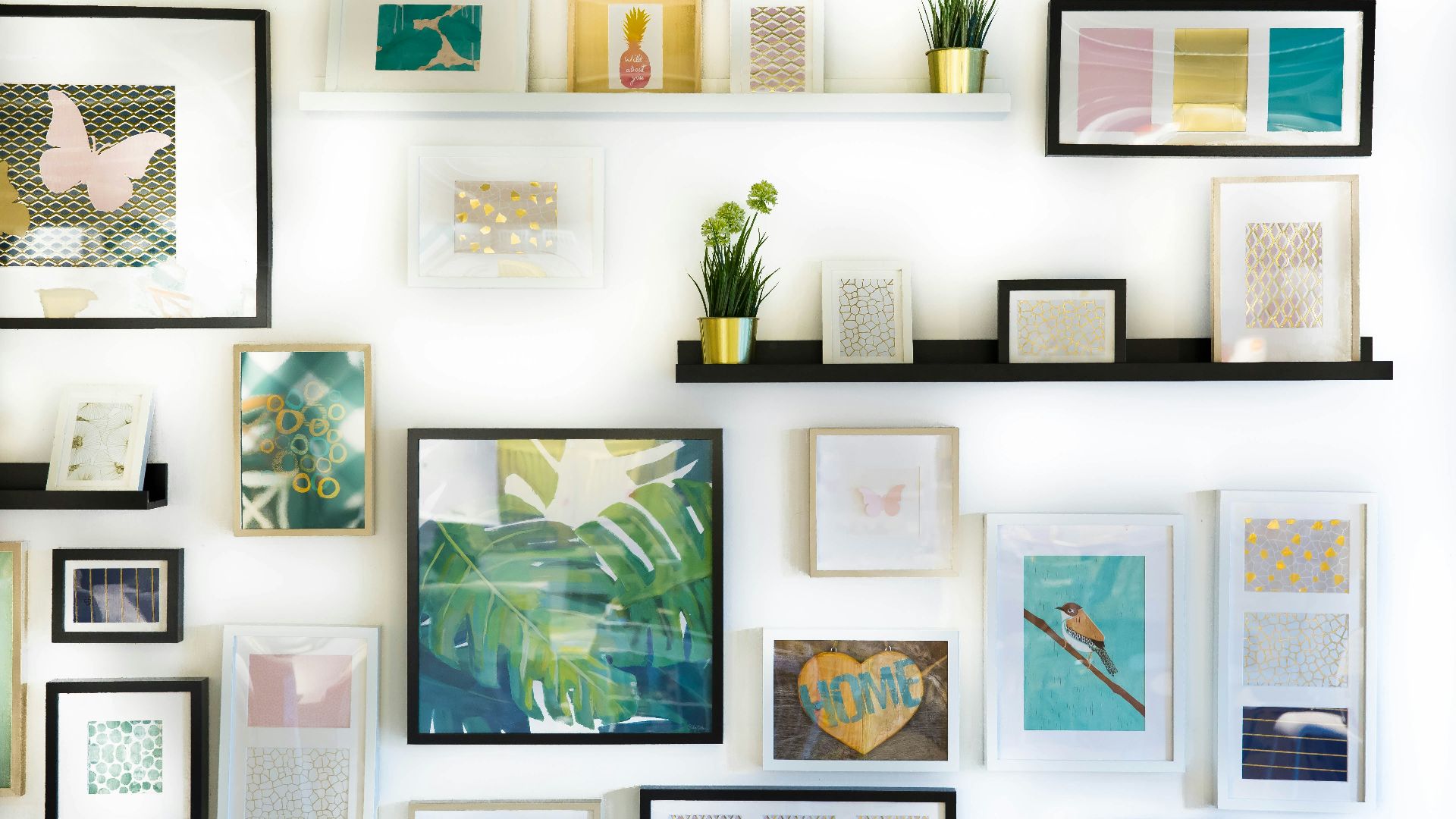 assorted-color framed paintings on the wall