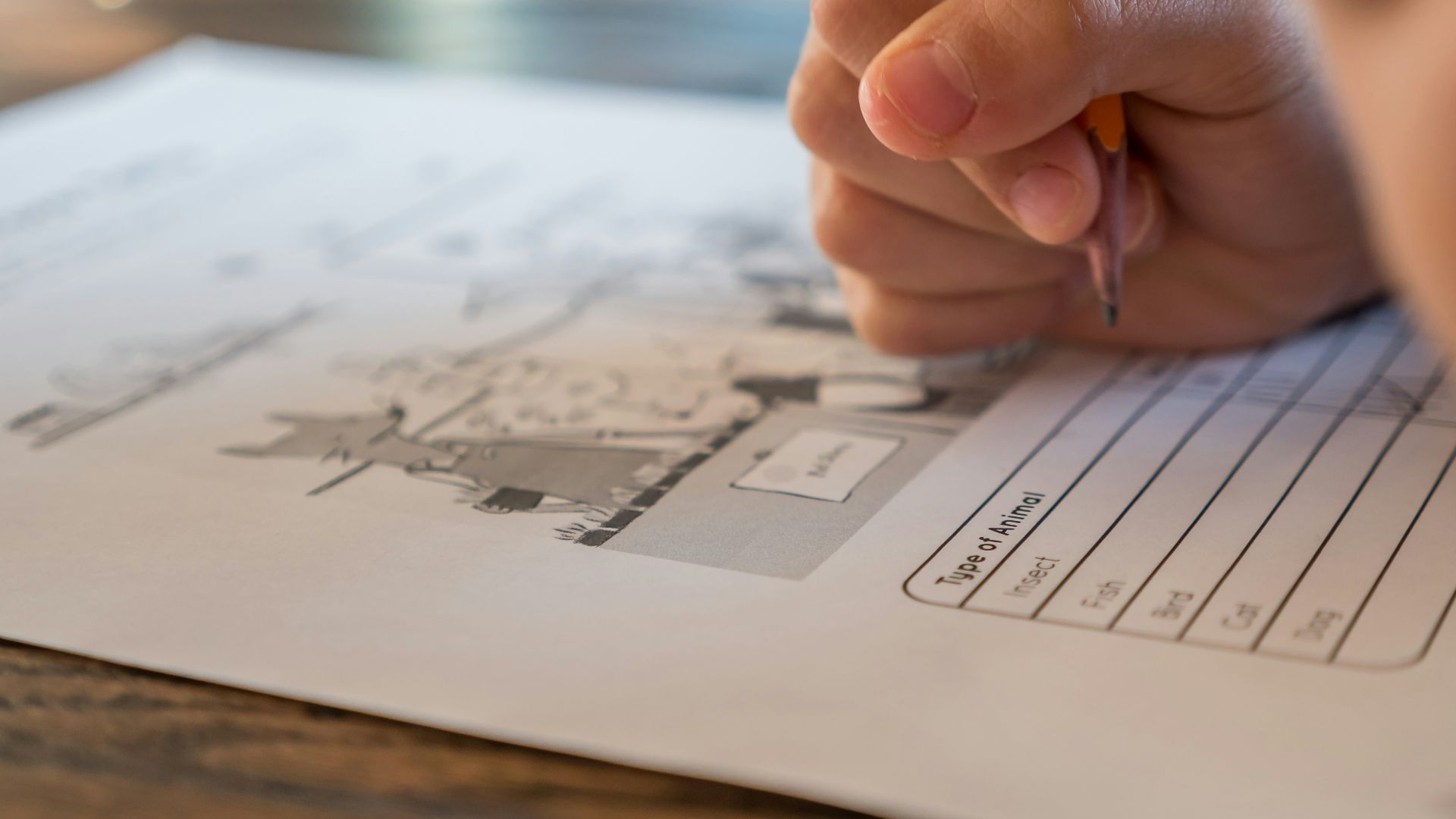 person holding white printer paper