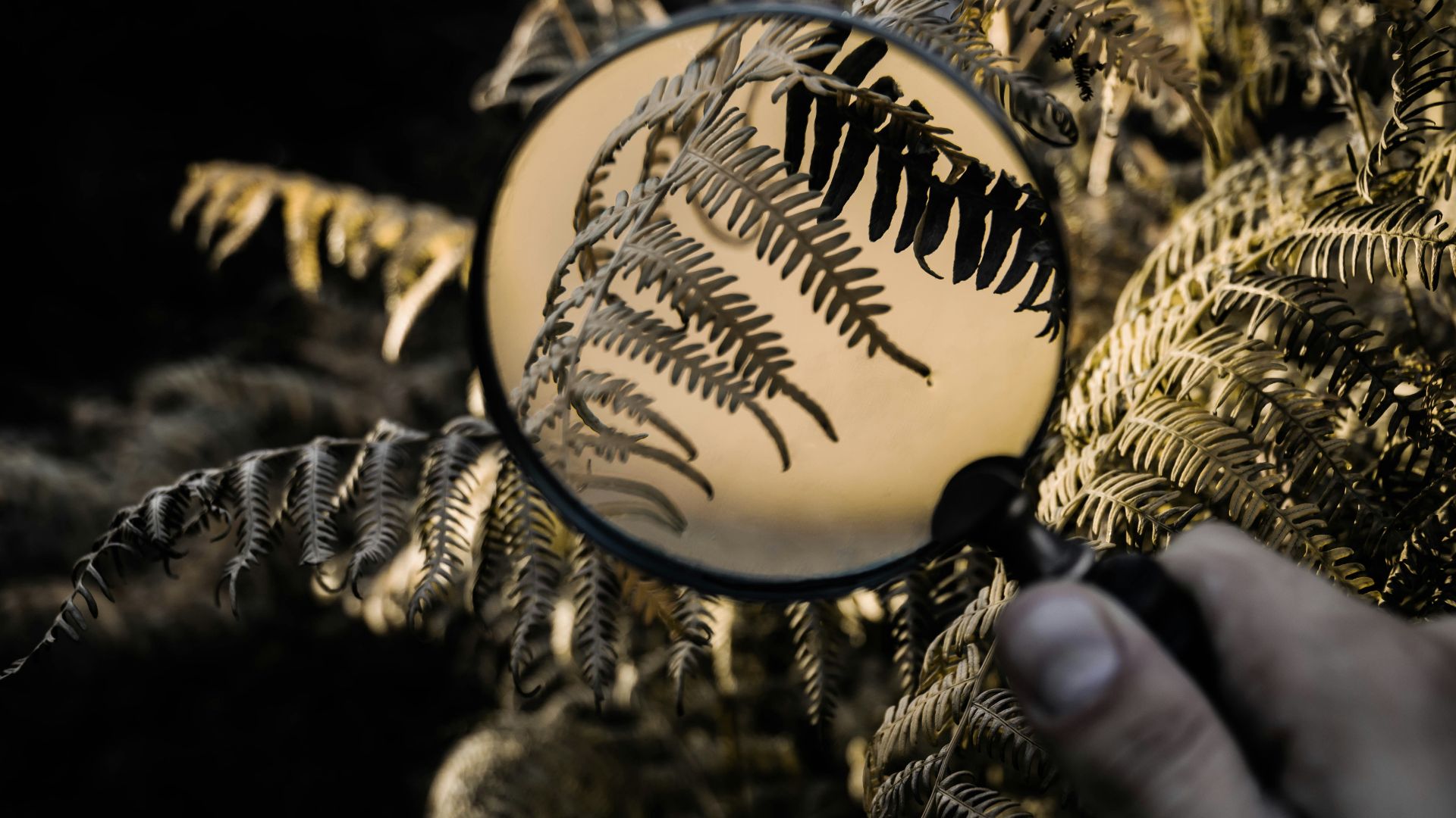 a hand holding a ball