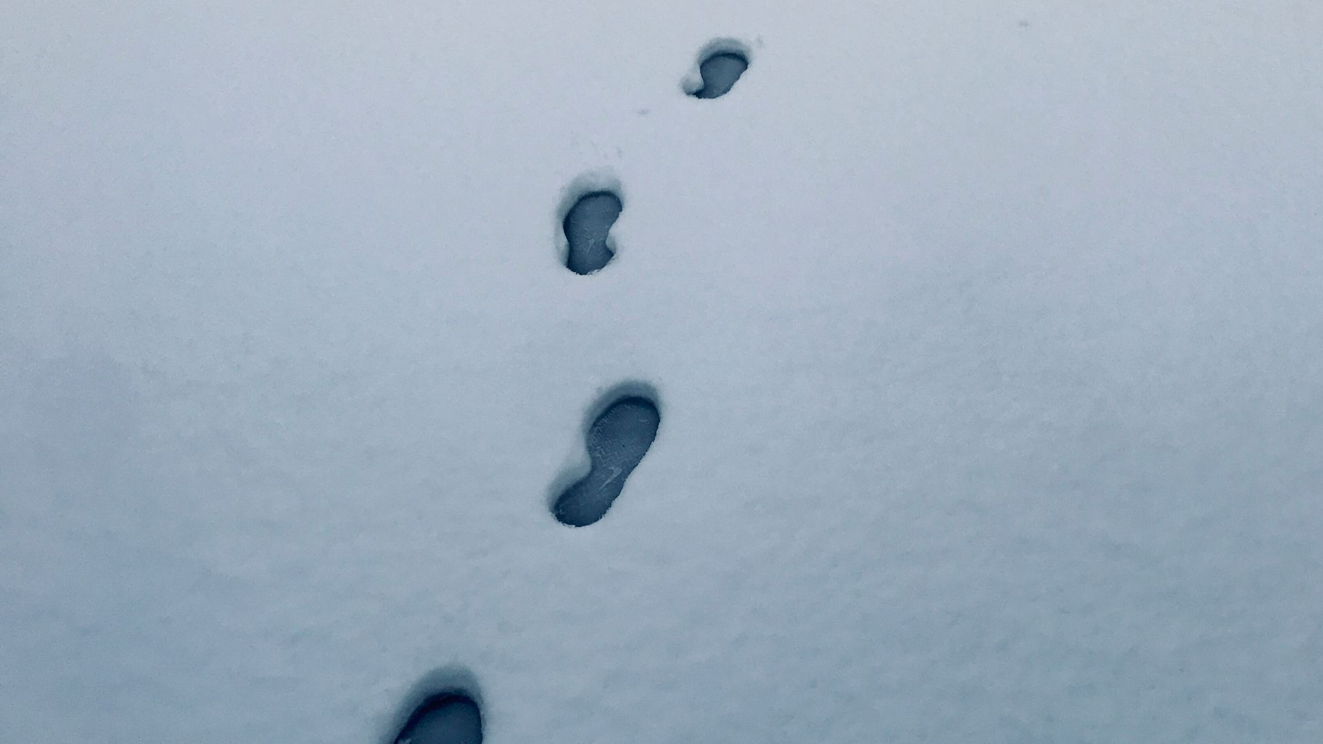 black and white abstract painting