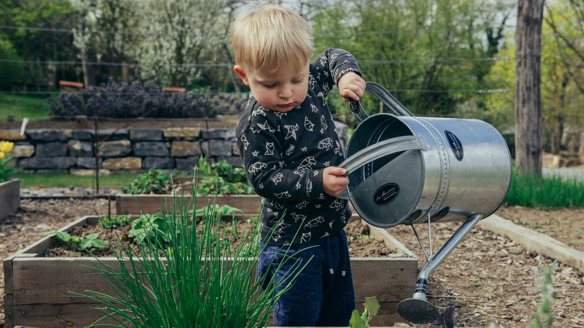 boy in black and white long sleeve shirt standing beside gray metal watering can during daytime