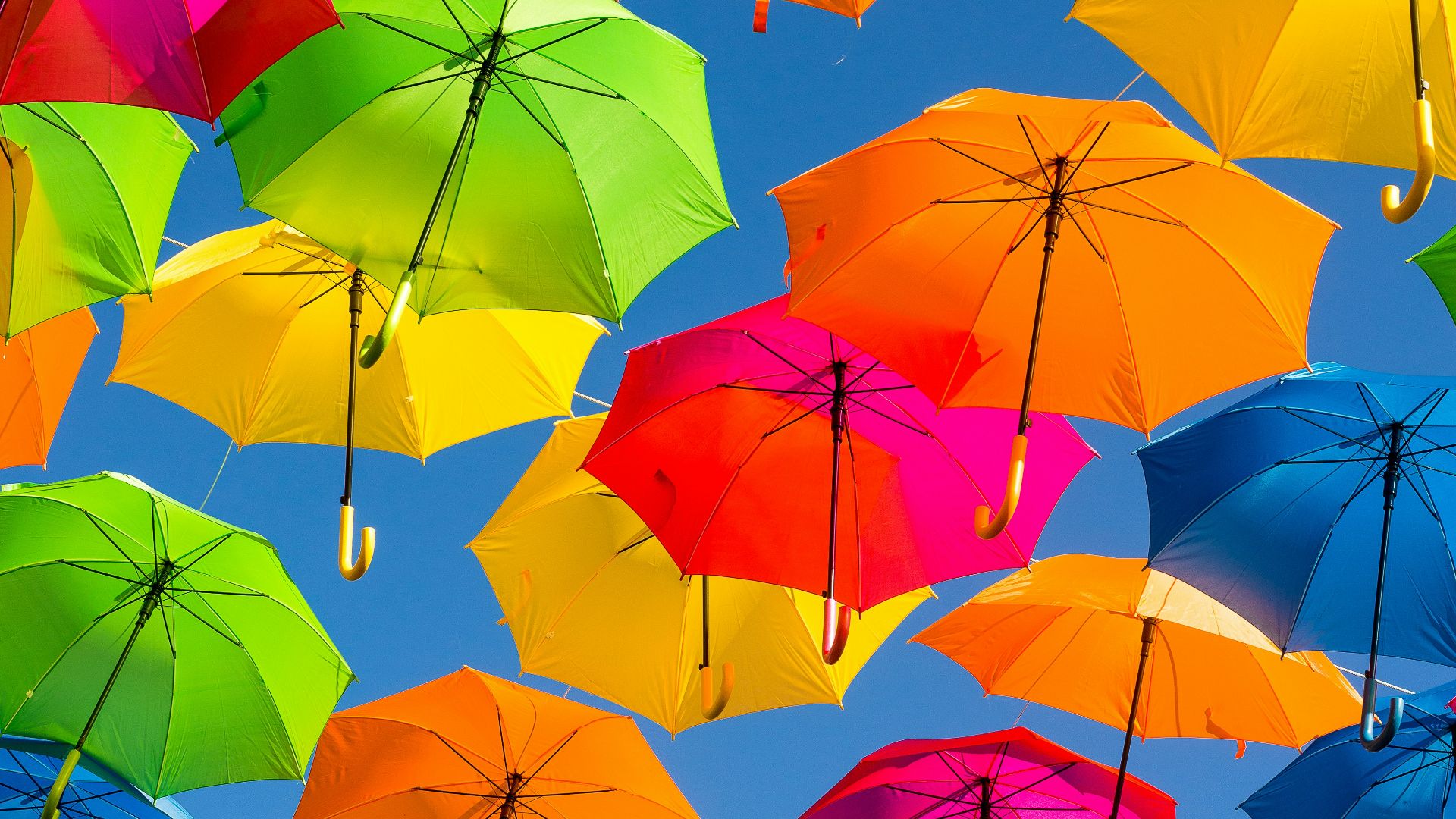 person taking photo of assorted-color umbrellas