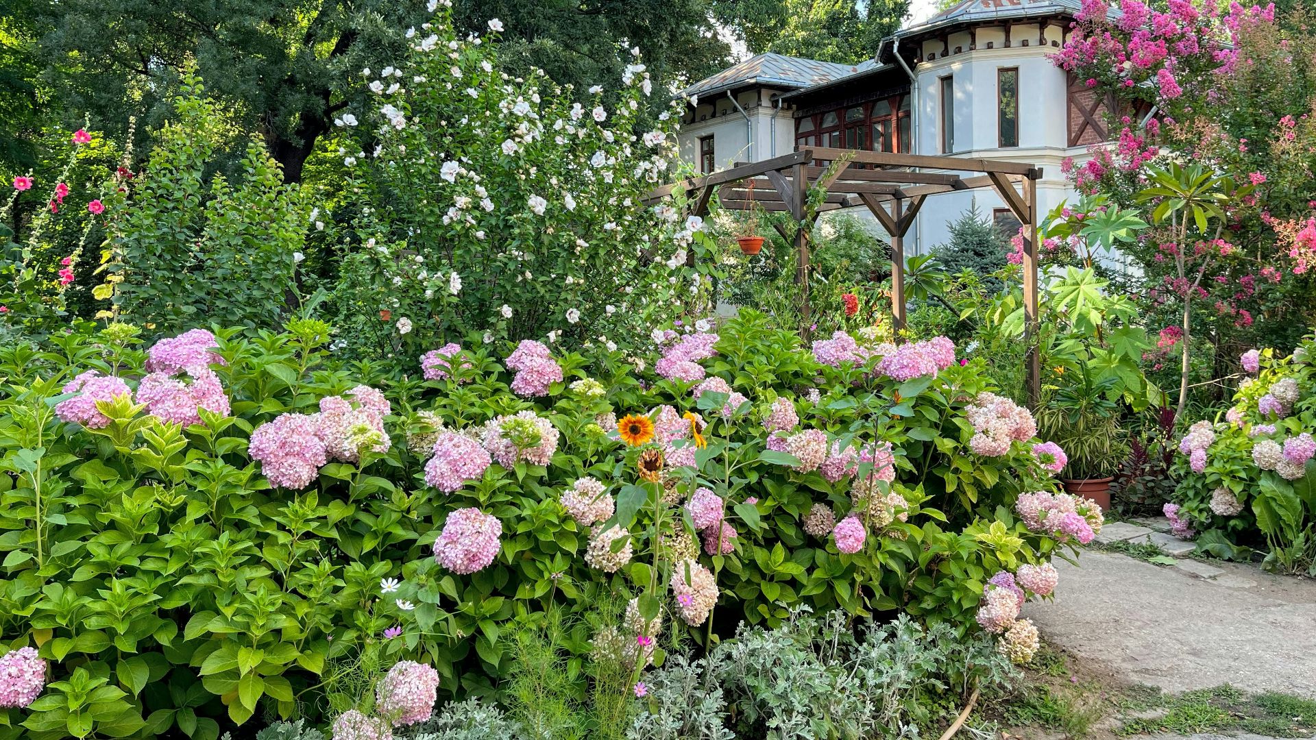a garden with flowers and trees