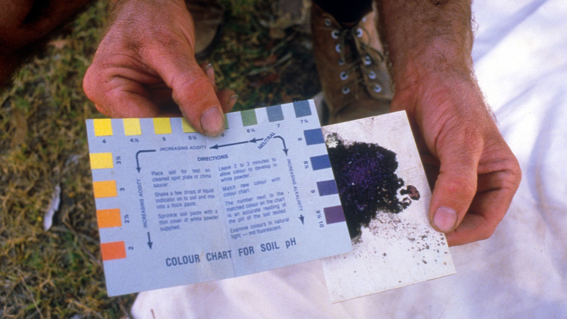 File:CSIRO ScienceImage 1739 Testing soil pH.jpg