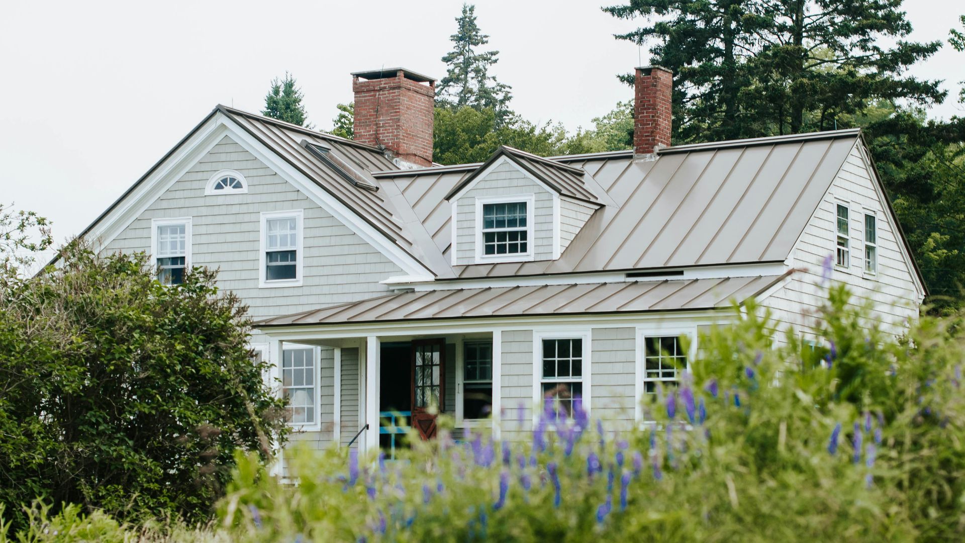 white and gray wooden house surrounded by green plants during daytime