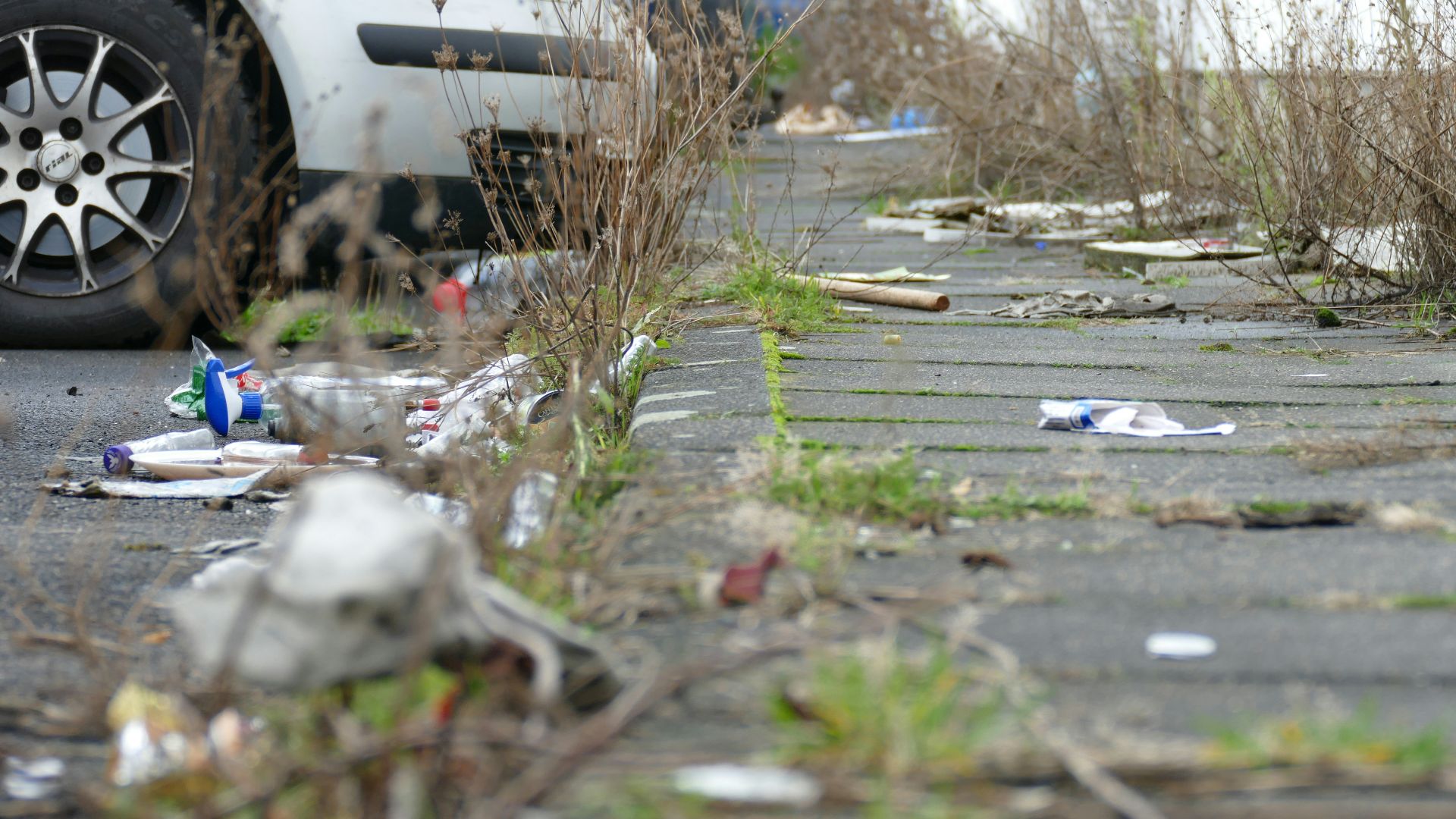 a white car parked on the side of a road
