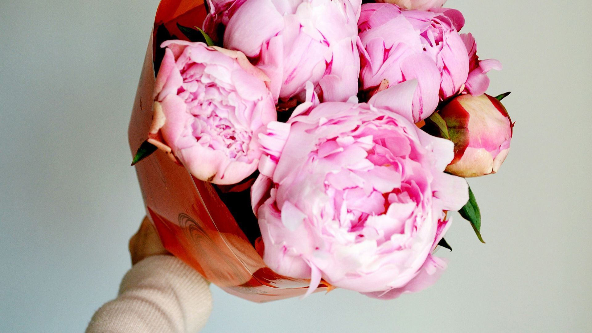 pink roses in brown basket
