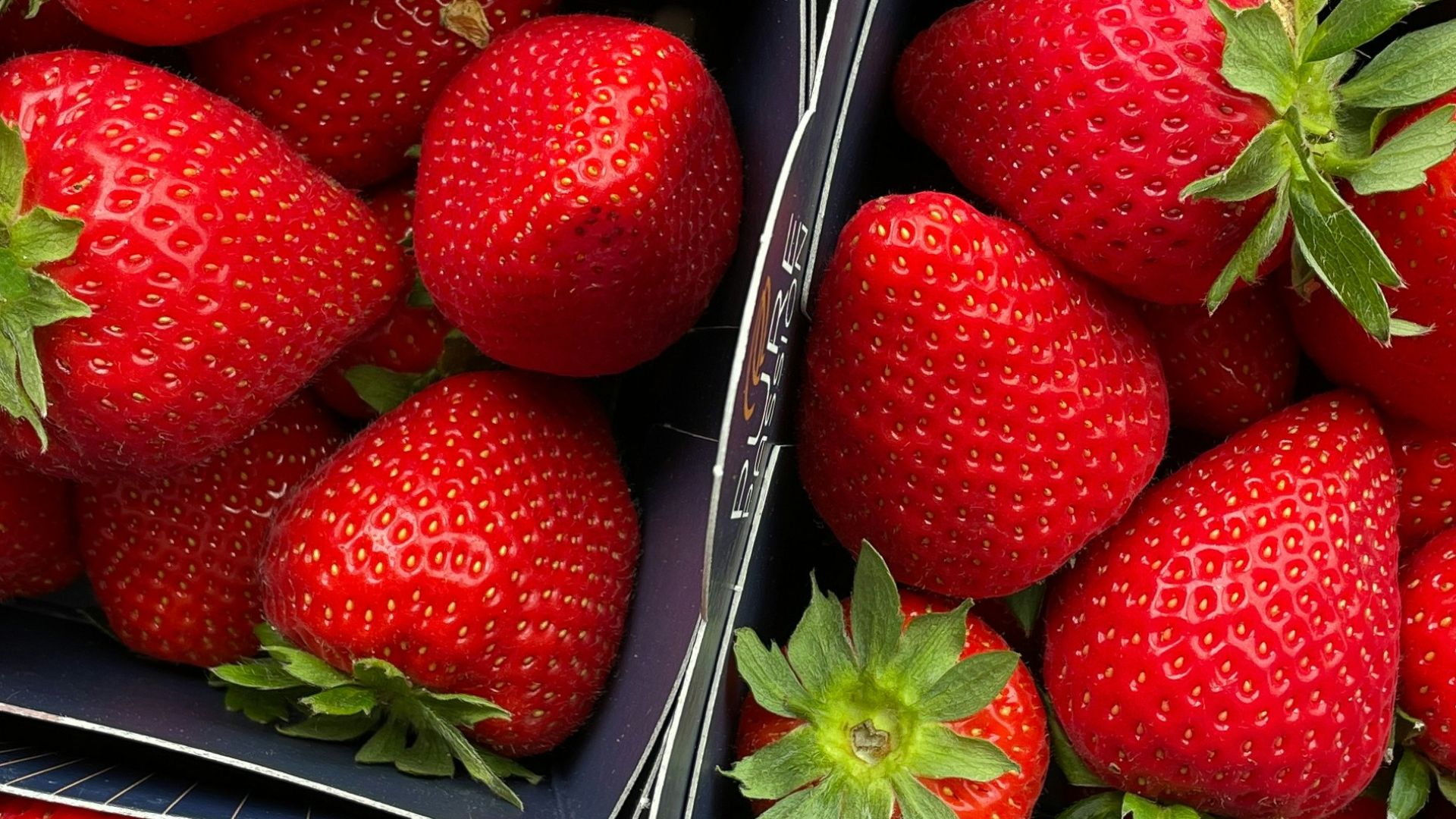 a close up of many boxes of strawberries
