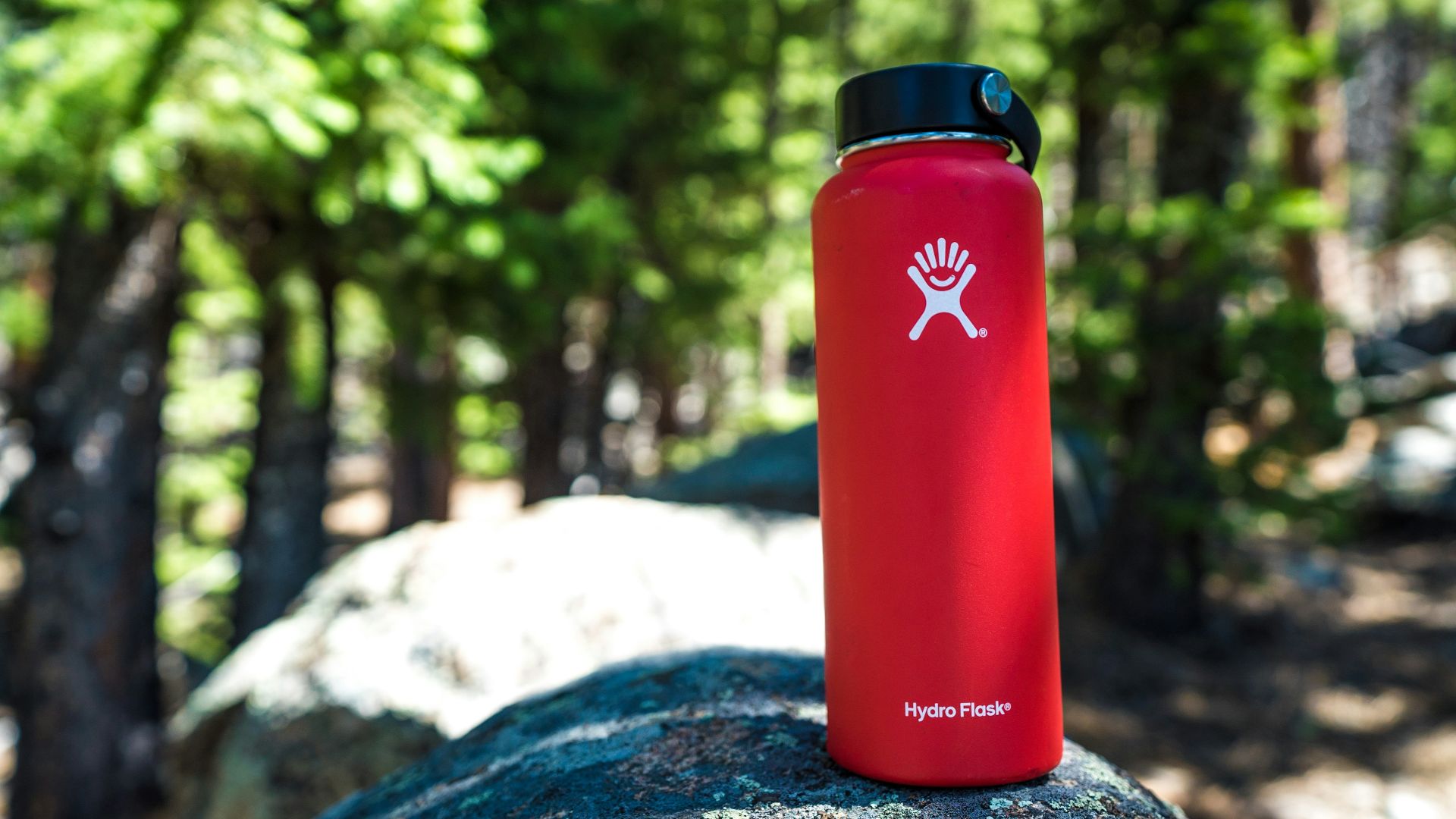 red and black plastic hydro flask on rock