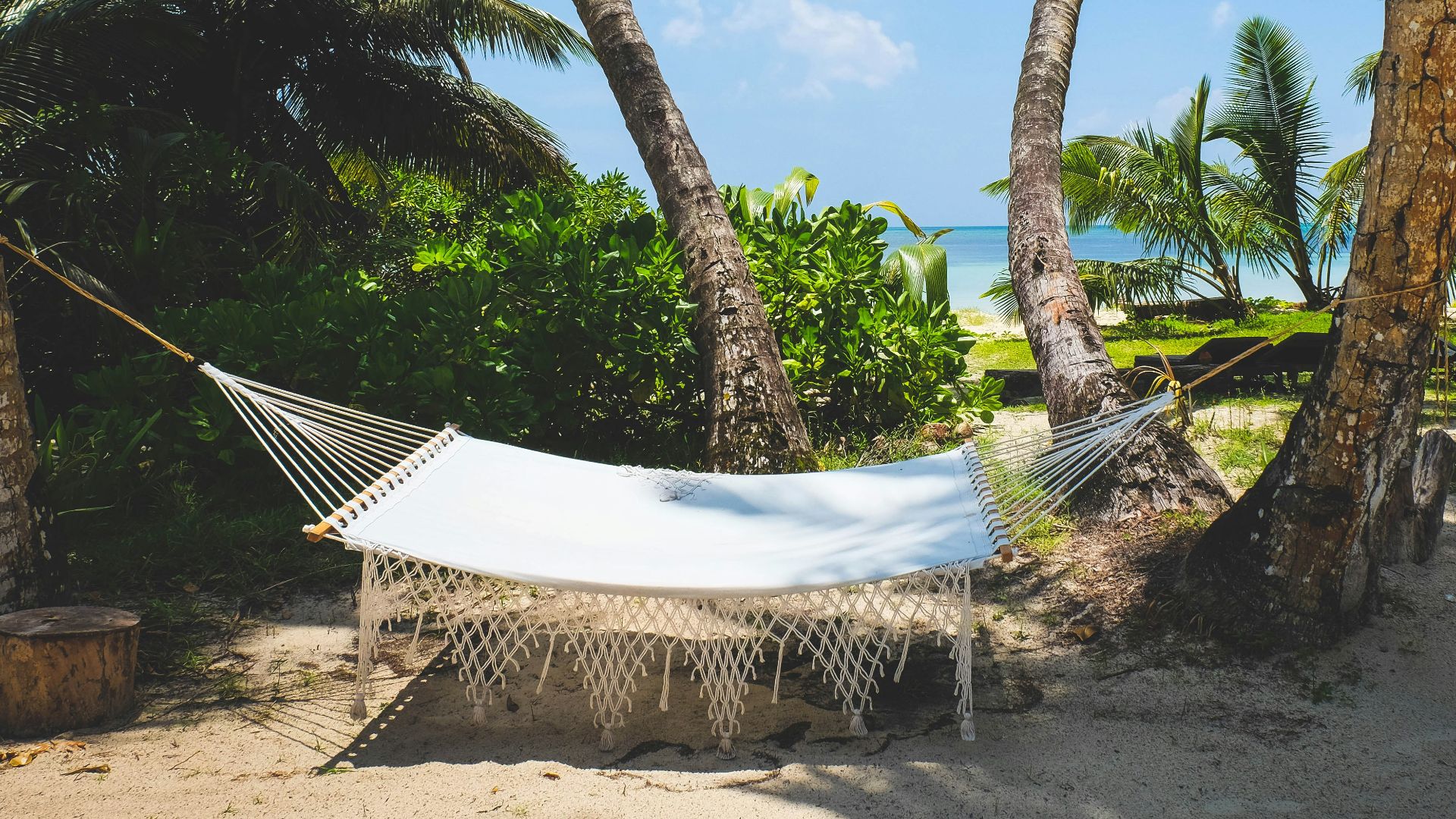 white and black lounge chairs near palm trees under blue sky during daytime