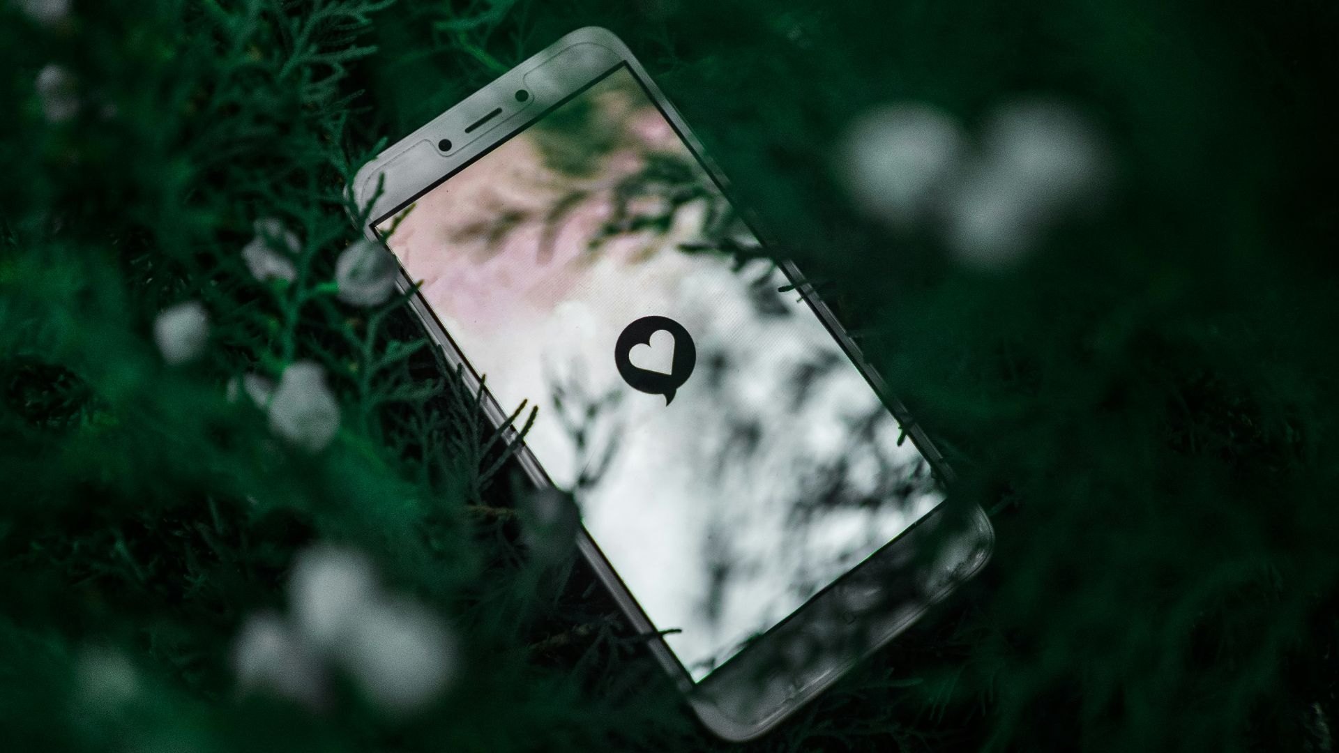 white Android smartphone near green plant