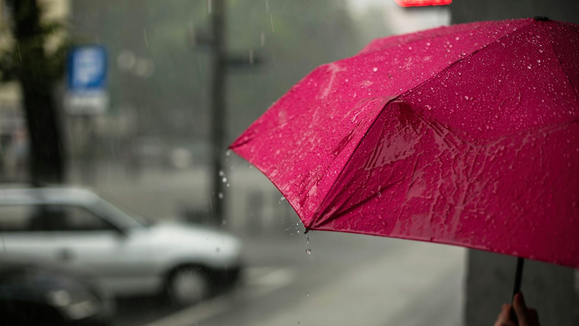 pink umbrella