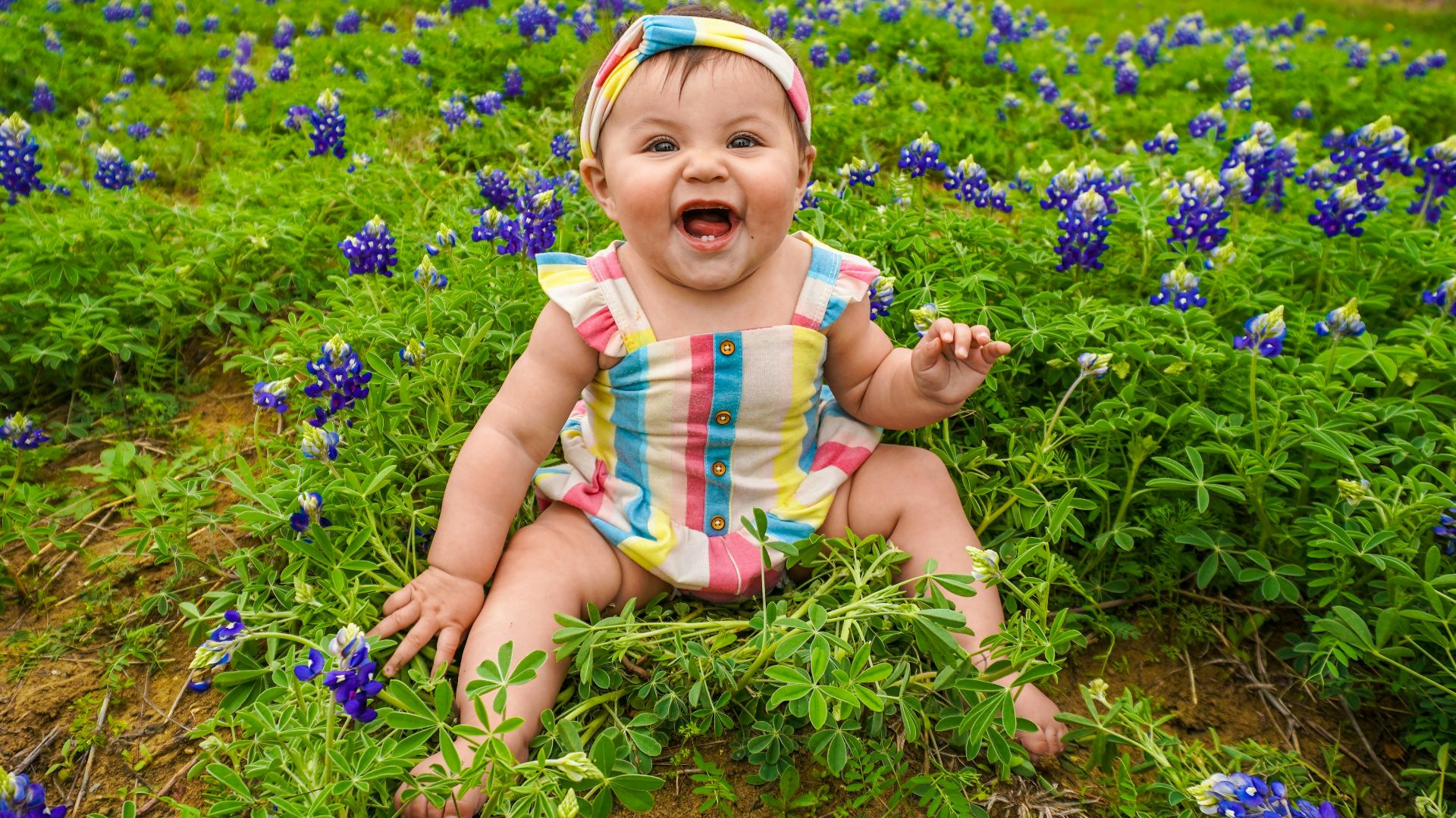 a baby sitting in a field of blue flowers