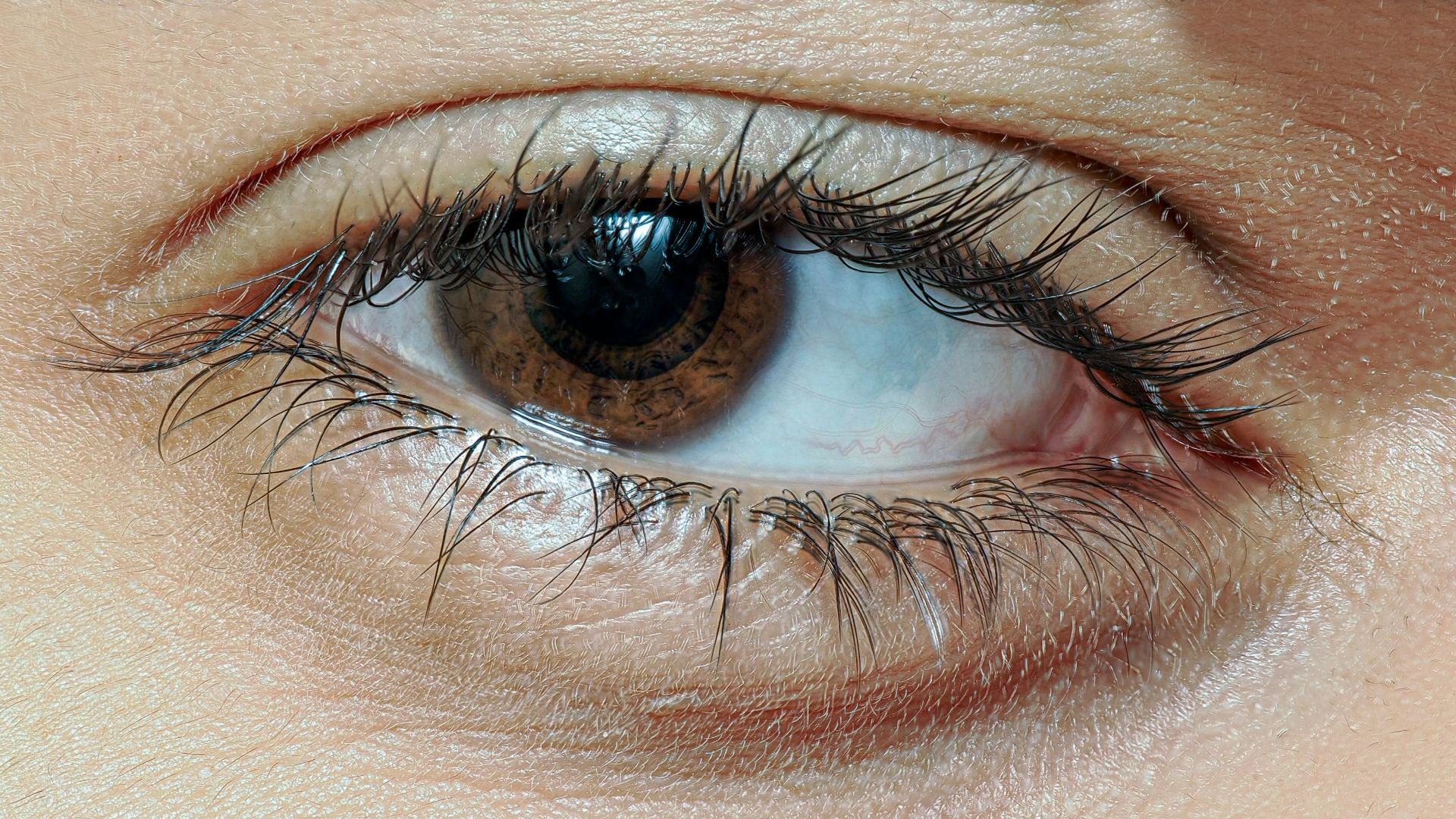 A close up of a woman's brown eye