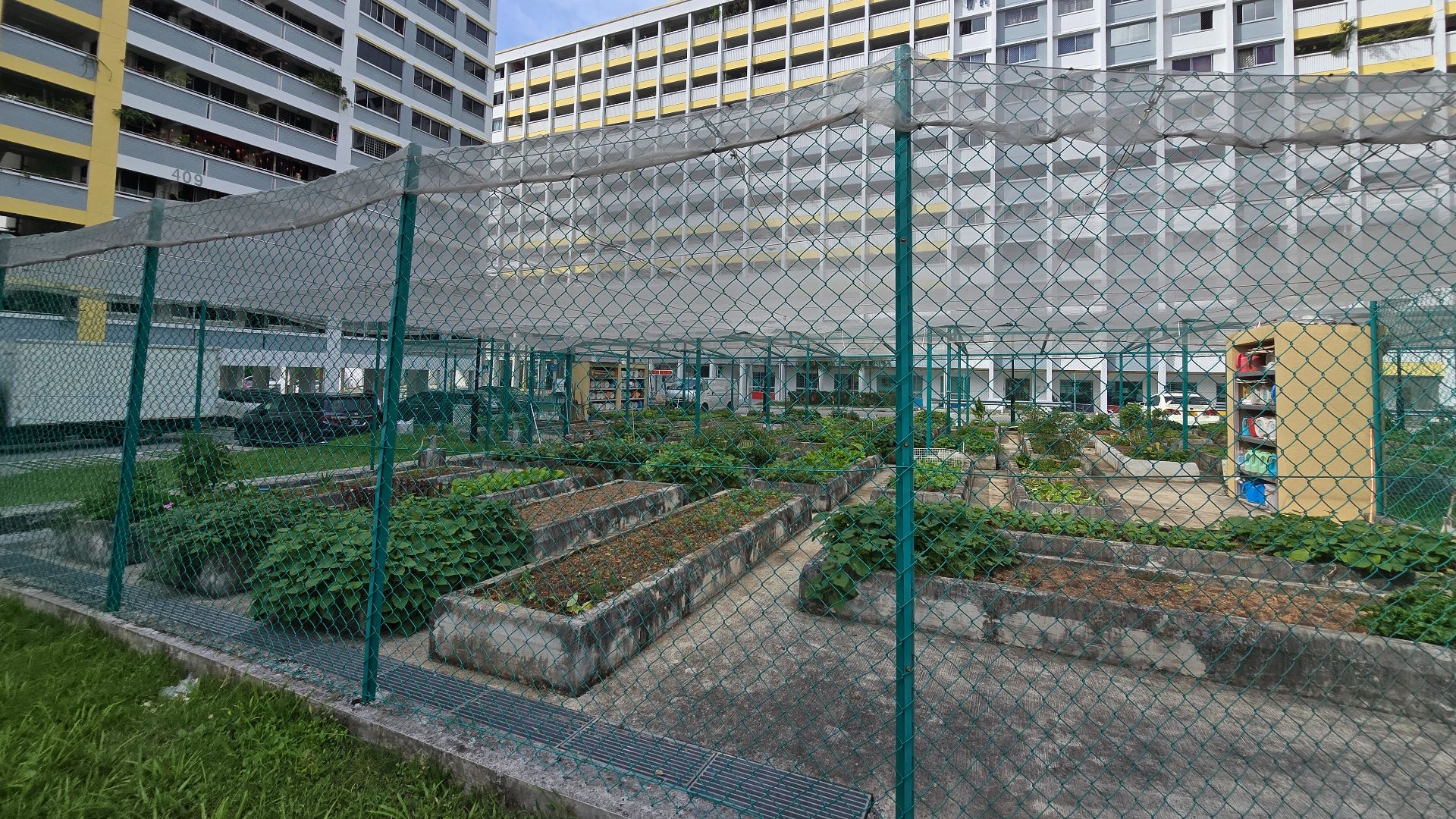 File:Community garden at Fajar in Singapore.jpg