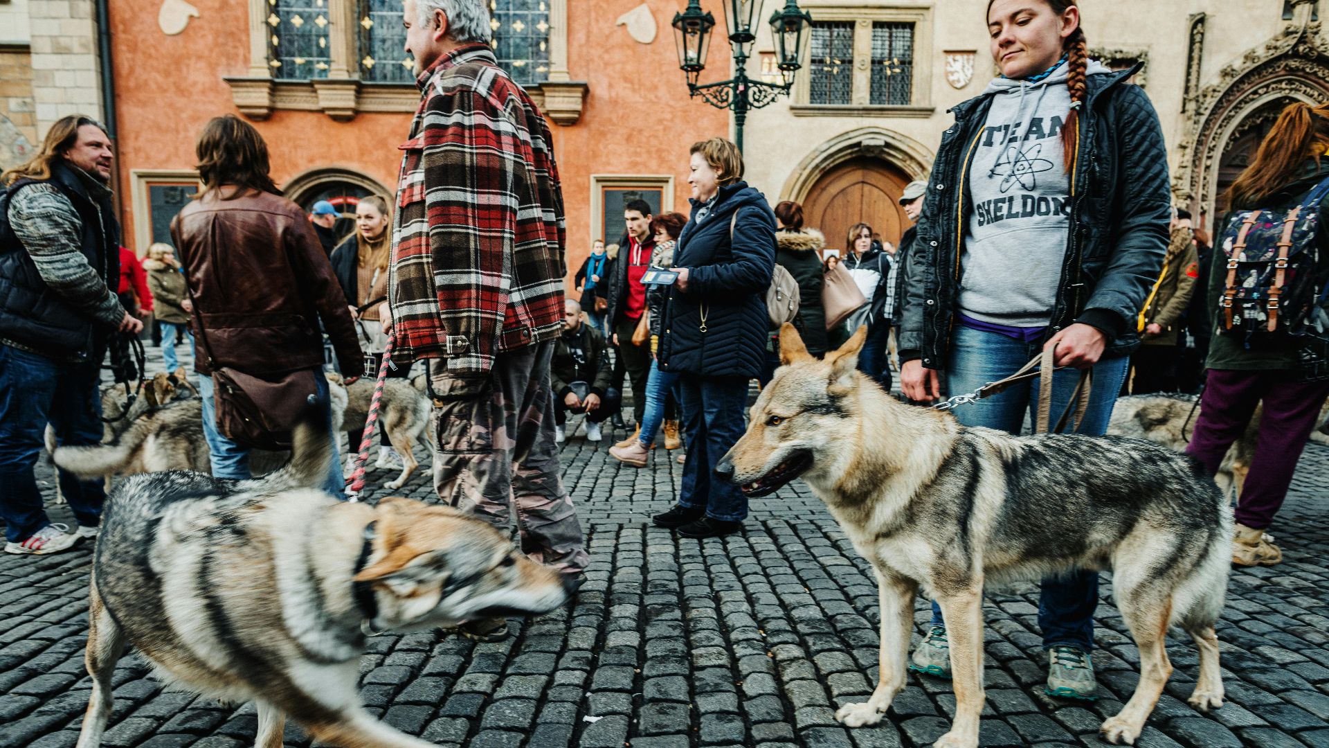 Helena Jankovičová Kováčová