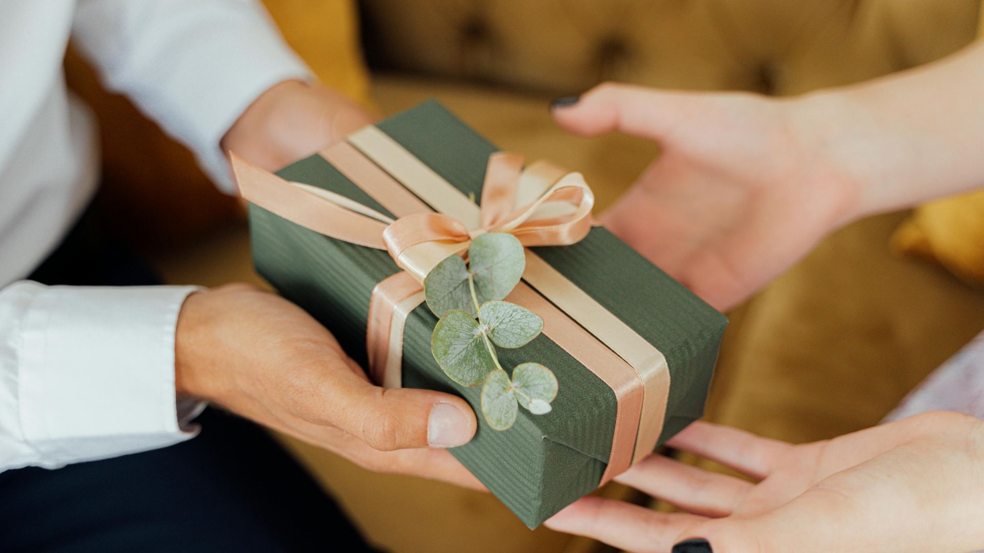 Antoni Shkraba Studio