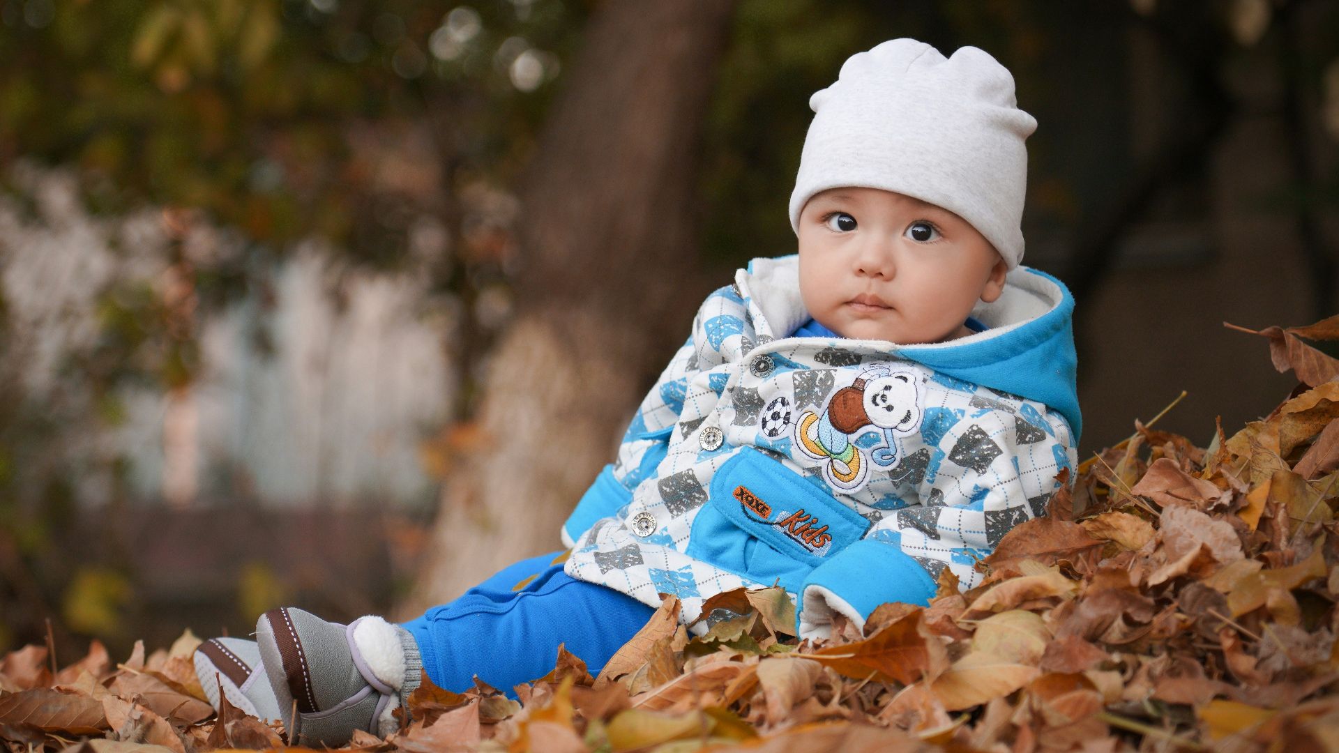 a baby is sitting in a pile of leaves