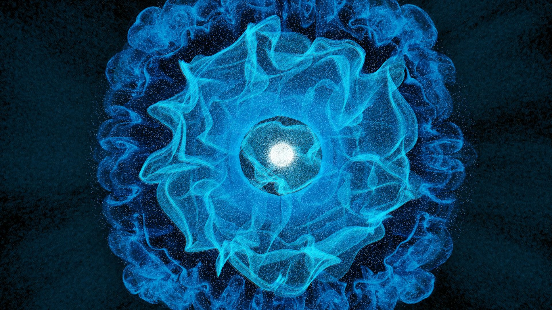 A blue flower with a white center on a black background