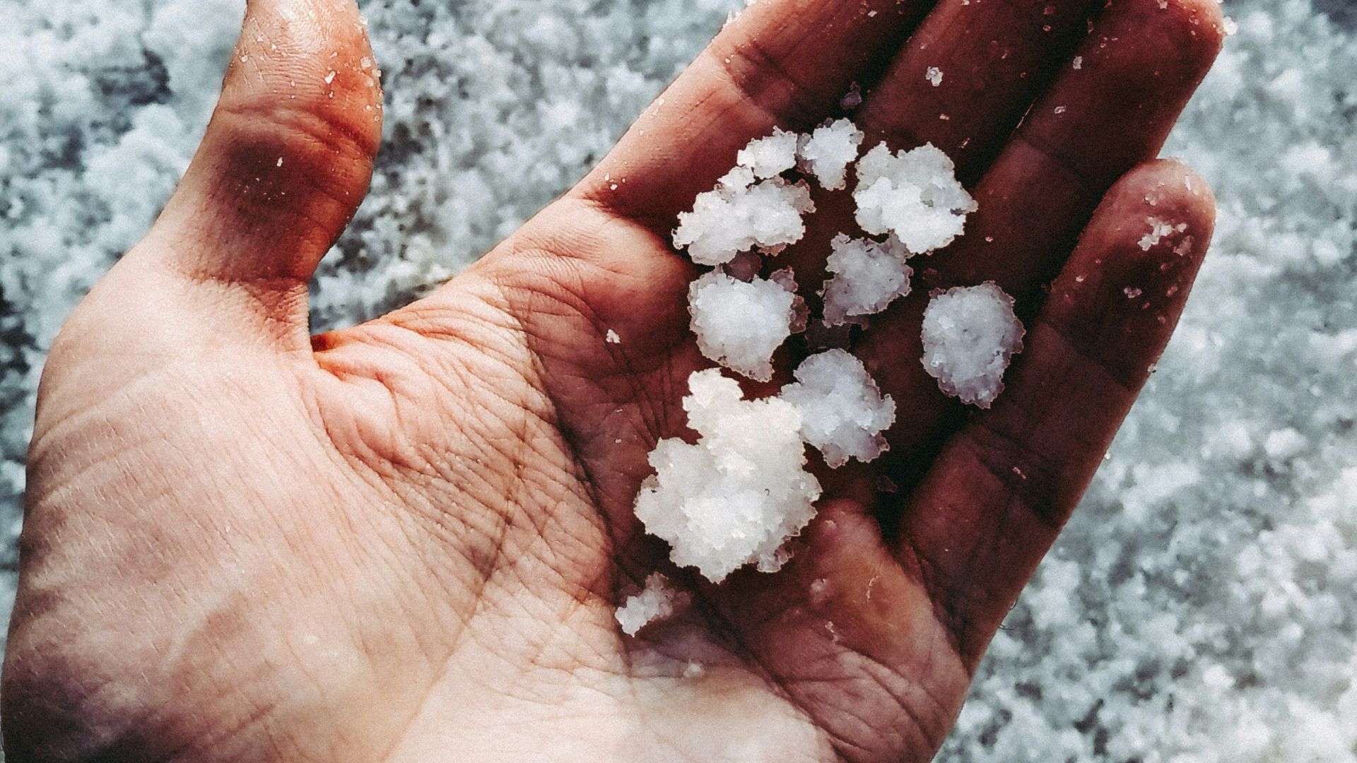 white stones on persons hand