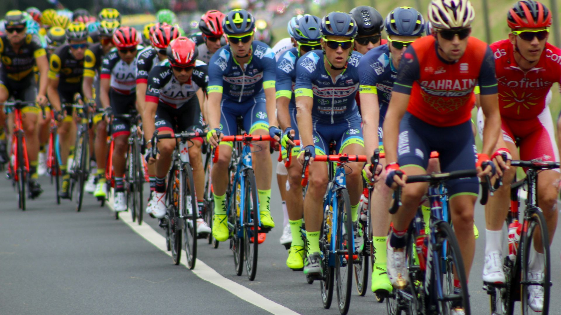 people riding on road bikes during daytime