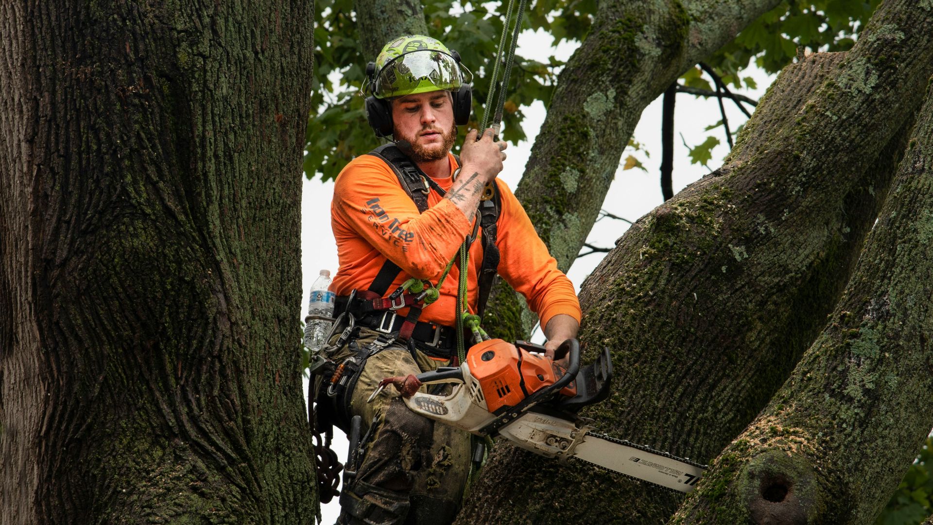 a man in a helmet sitting on a tree branch