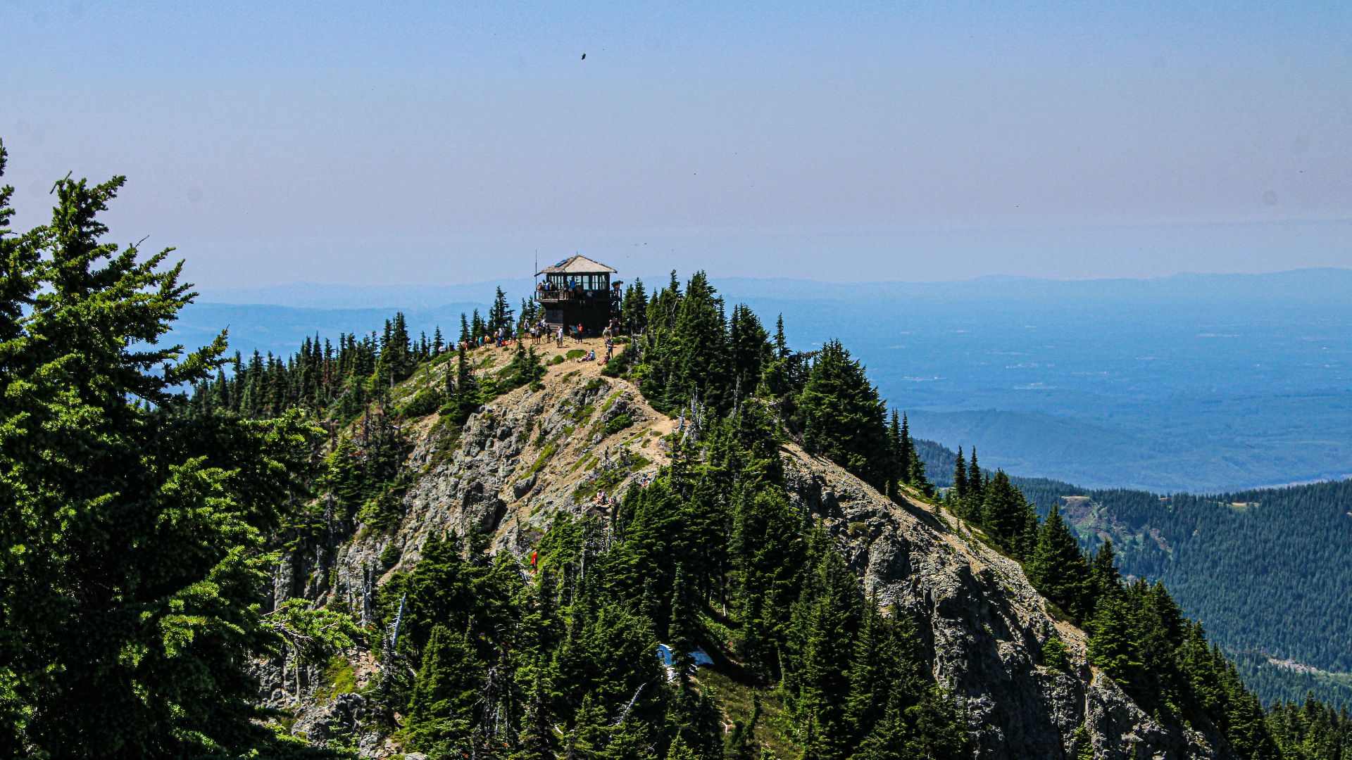 A view of a mountain with trees and a hut on top of it