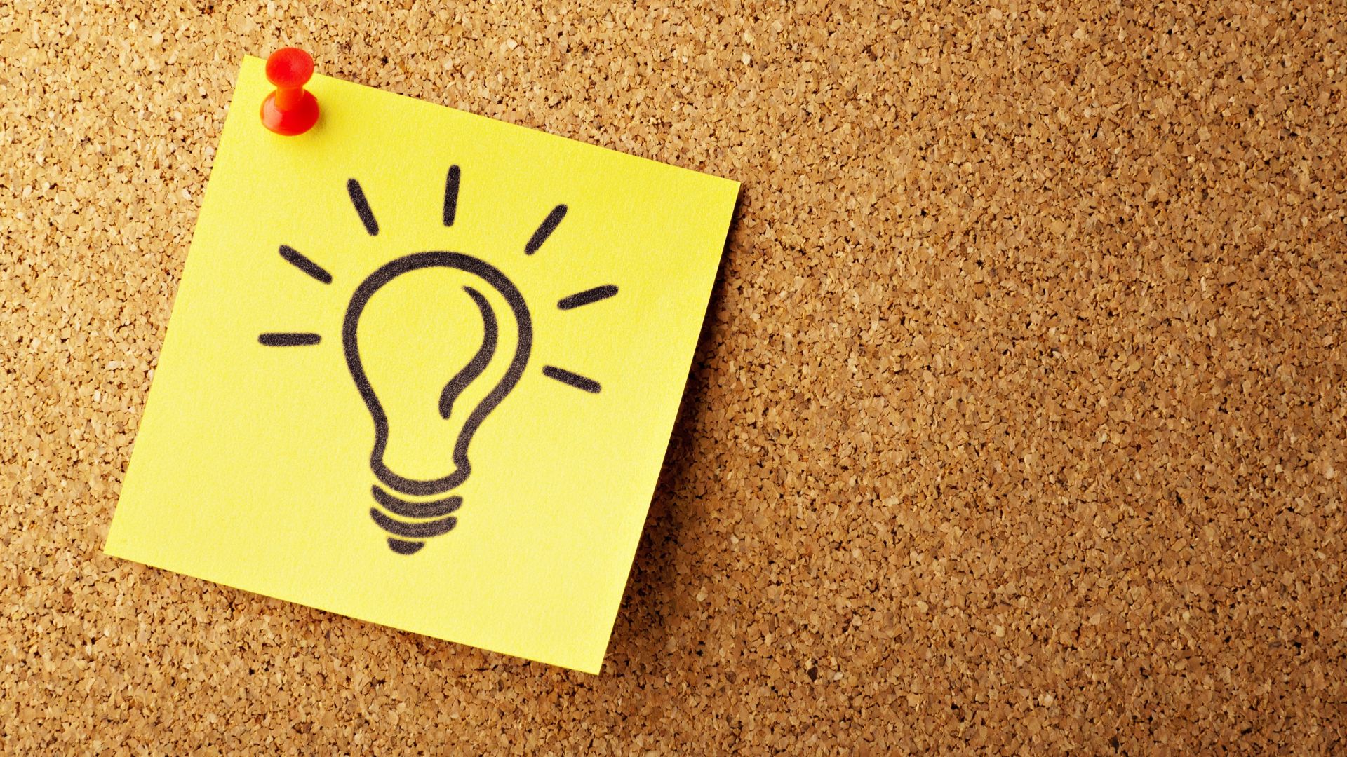 photo of bulb artwork