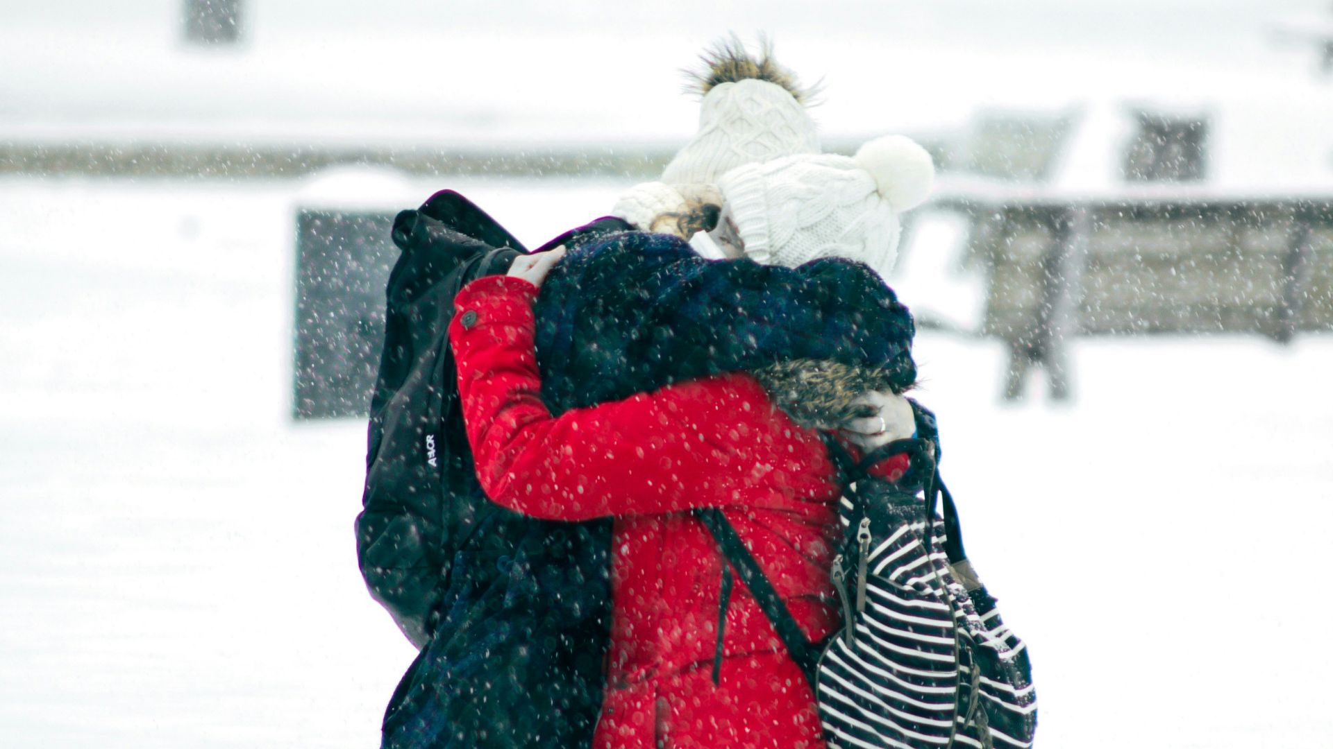 person in red and black jacket and black pants carrying white dog on snow covered ground