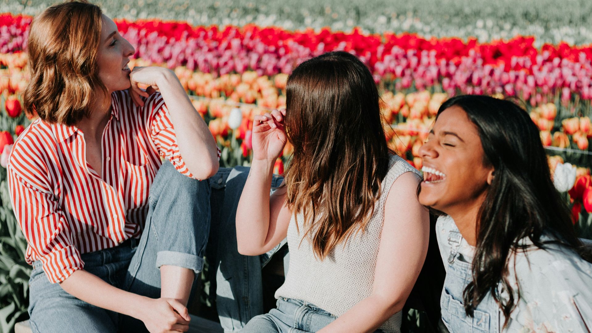 three women sitting wooden bench by the tulip flower field