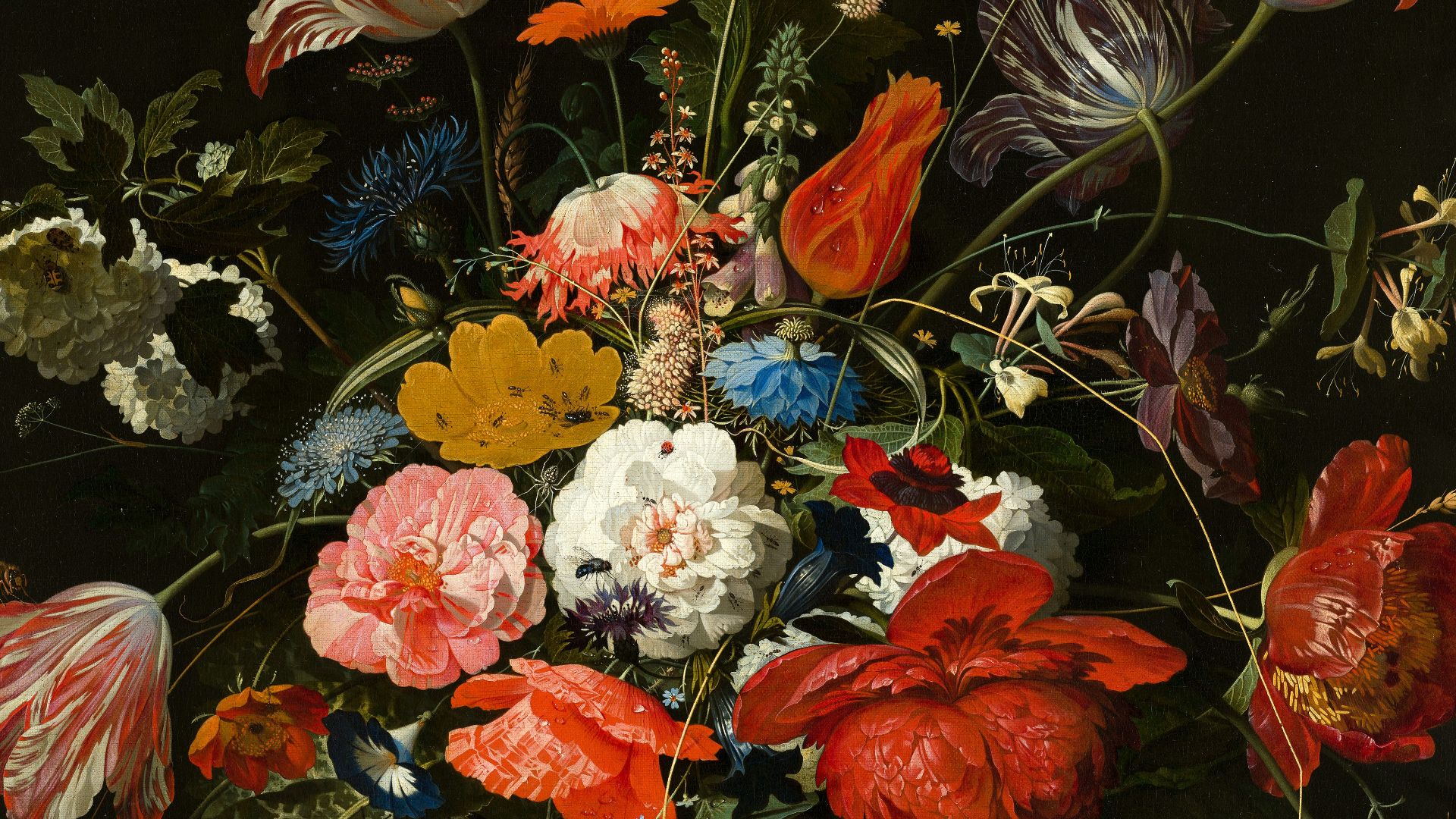 red blue and white flowers