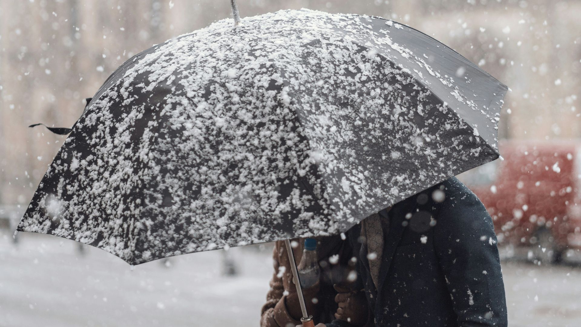 person holding black umbrella