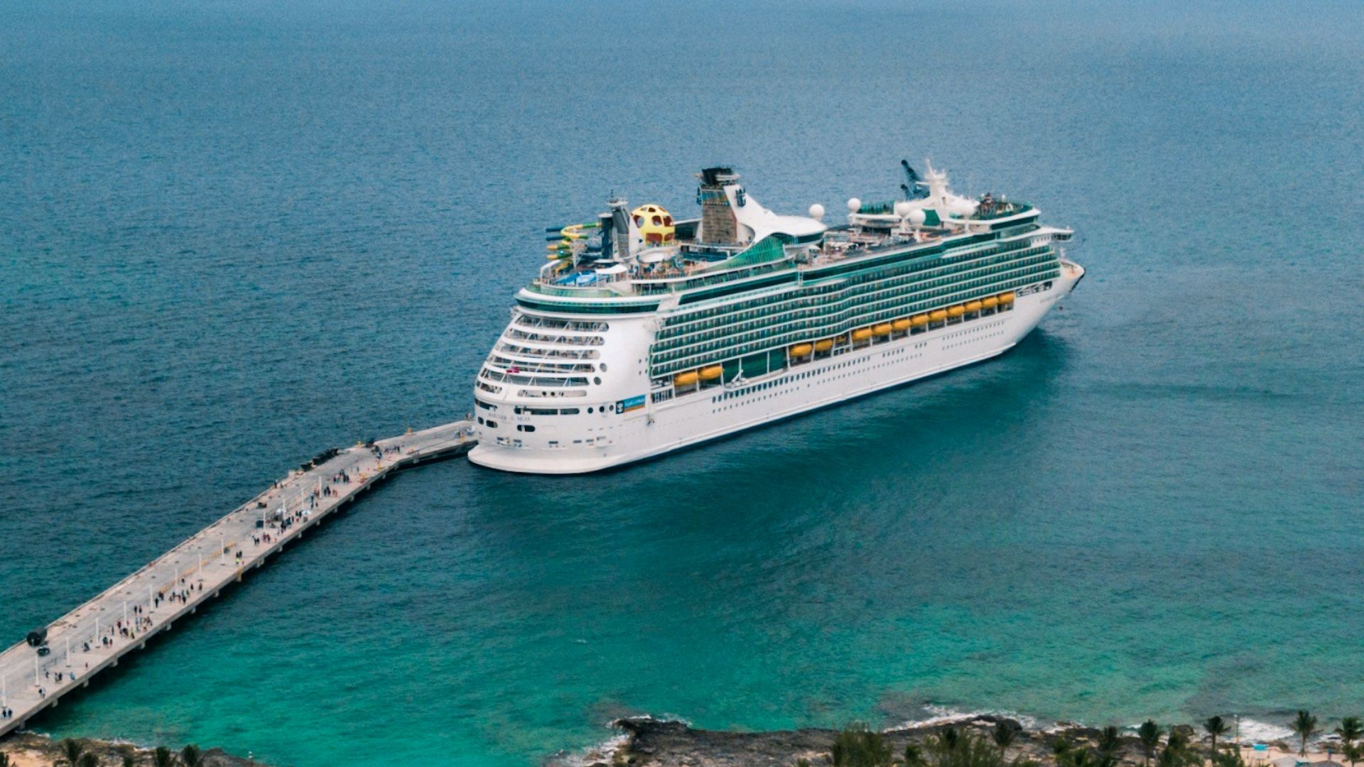 white cruise ship on sea during daytime