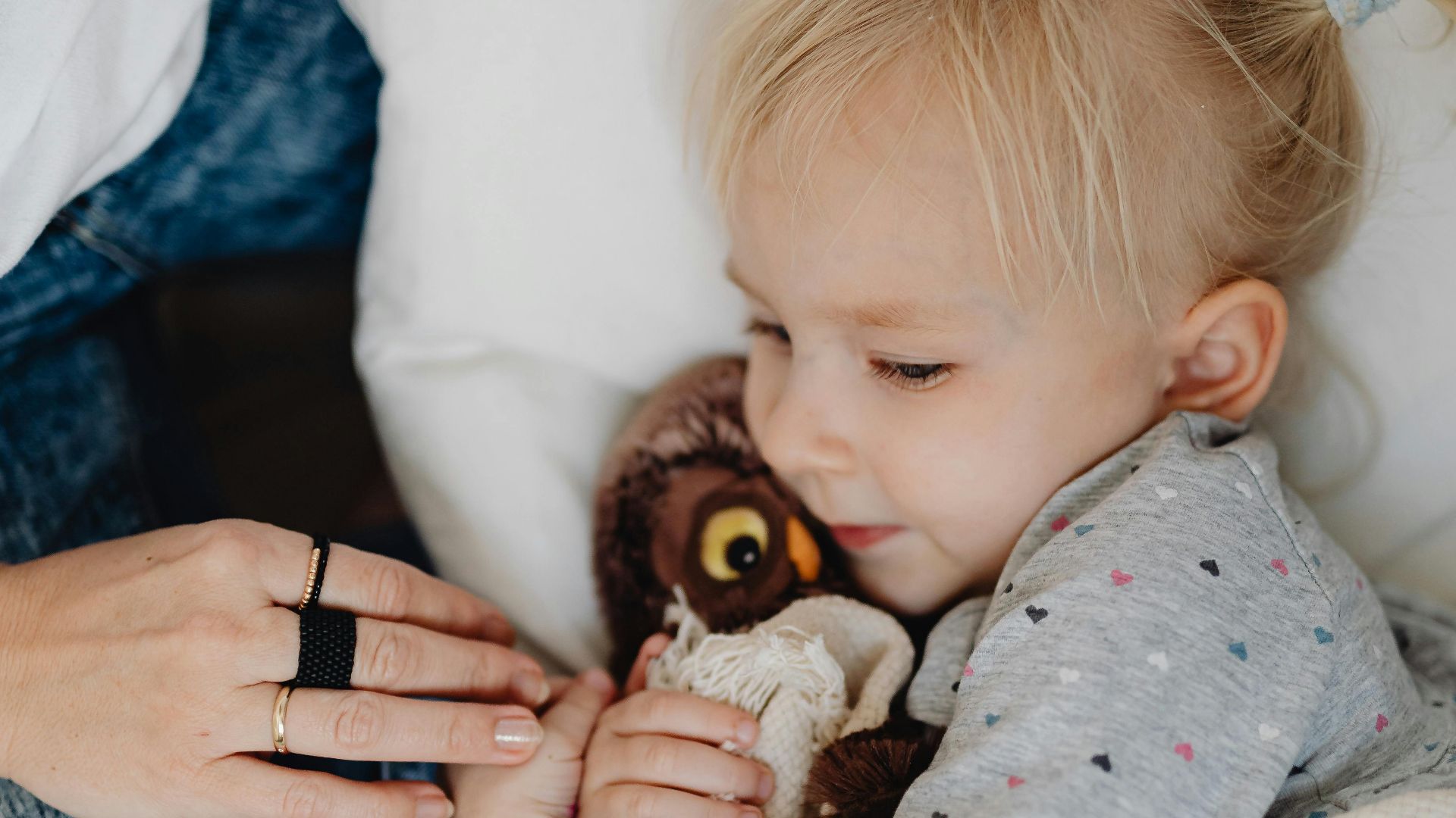 Photo By: Kaboompics.com