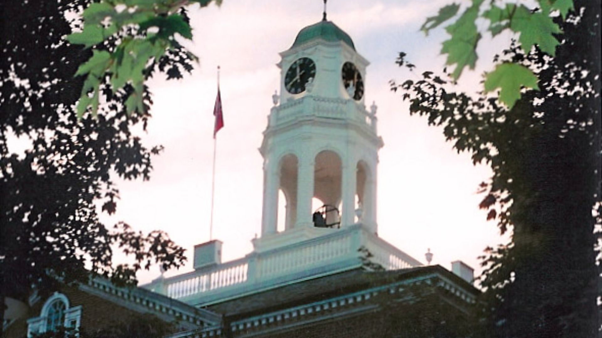 File:Exeter Tree Halo.jpg