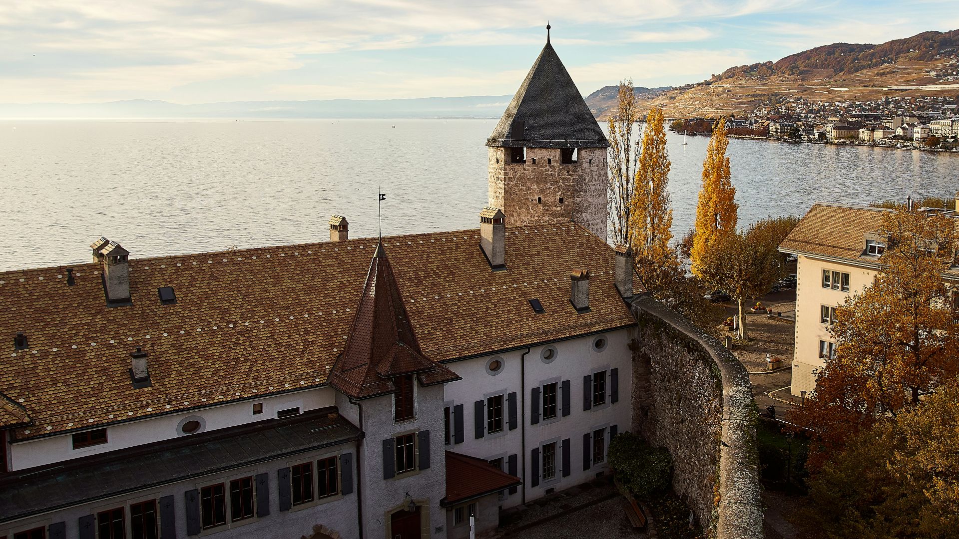 brown and white concrete building near body of water during daytime