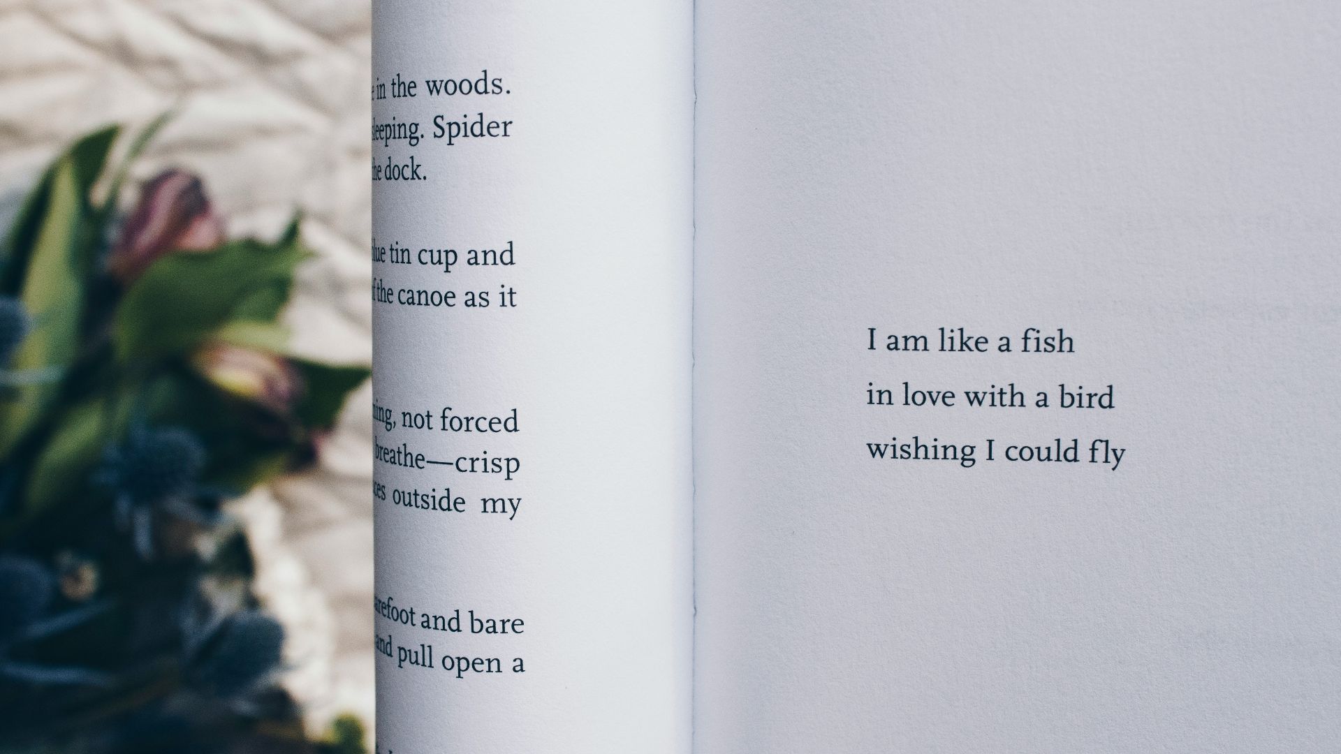 black and white printer paper