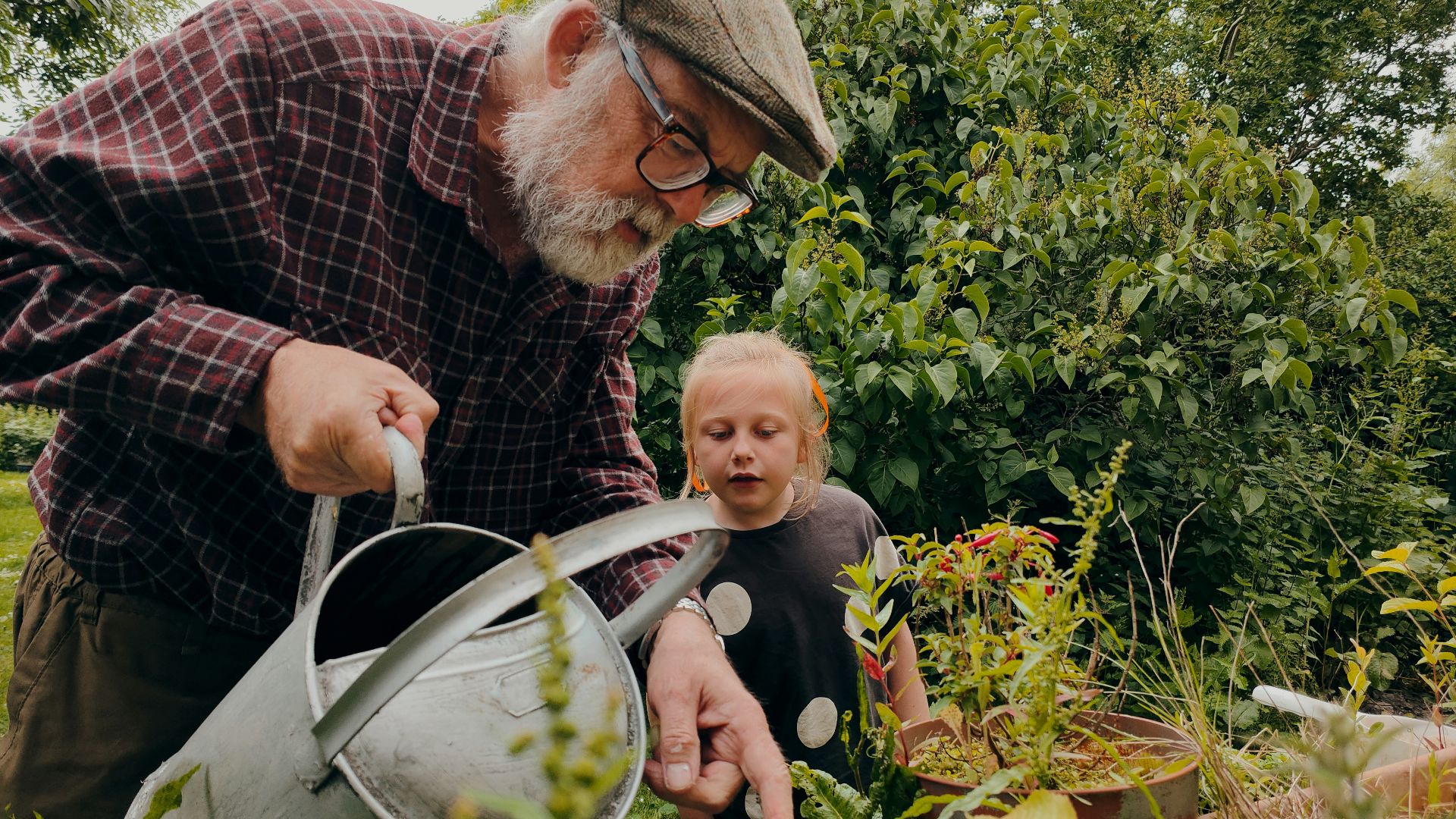 a man and a child looking at a plant