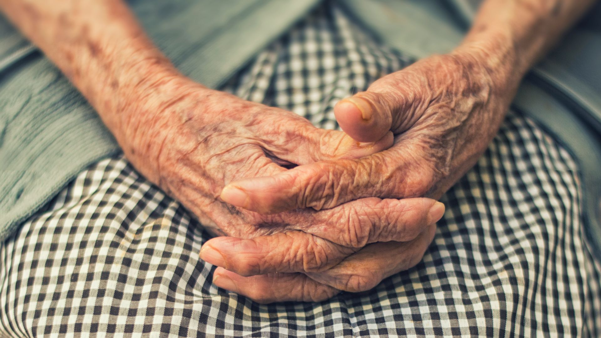 person's hand in shallow focus